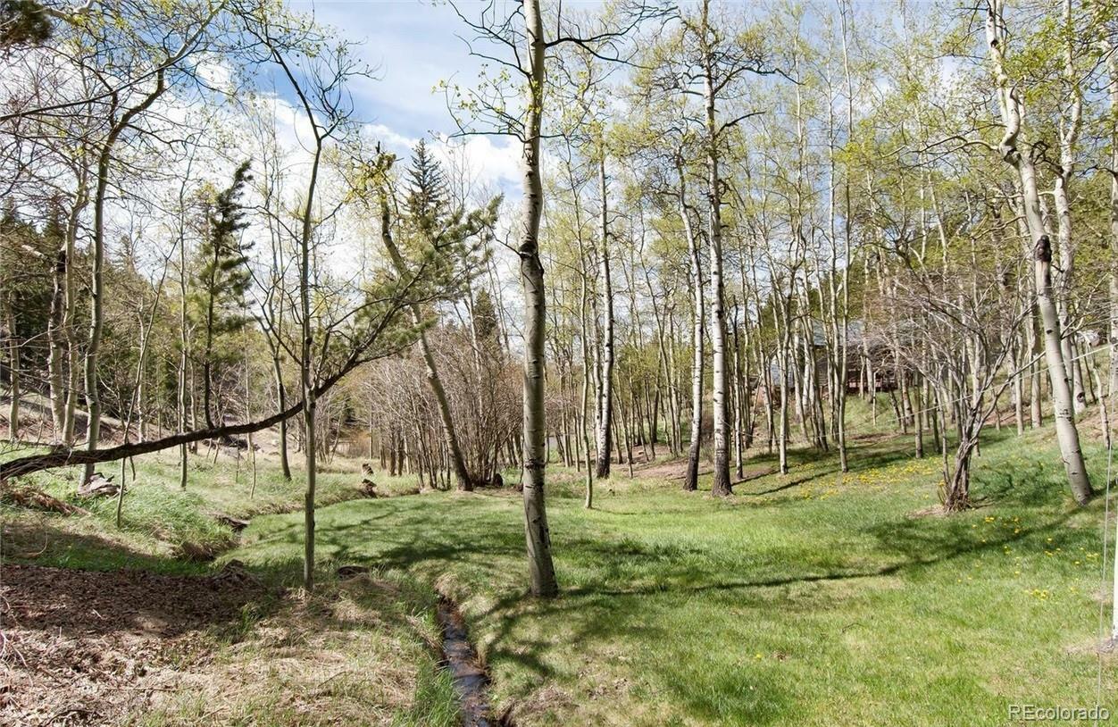 Property Photo:  1211 Hughesville Road  CO 80422 