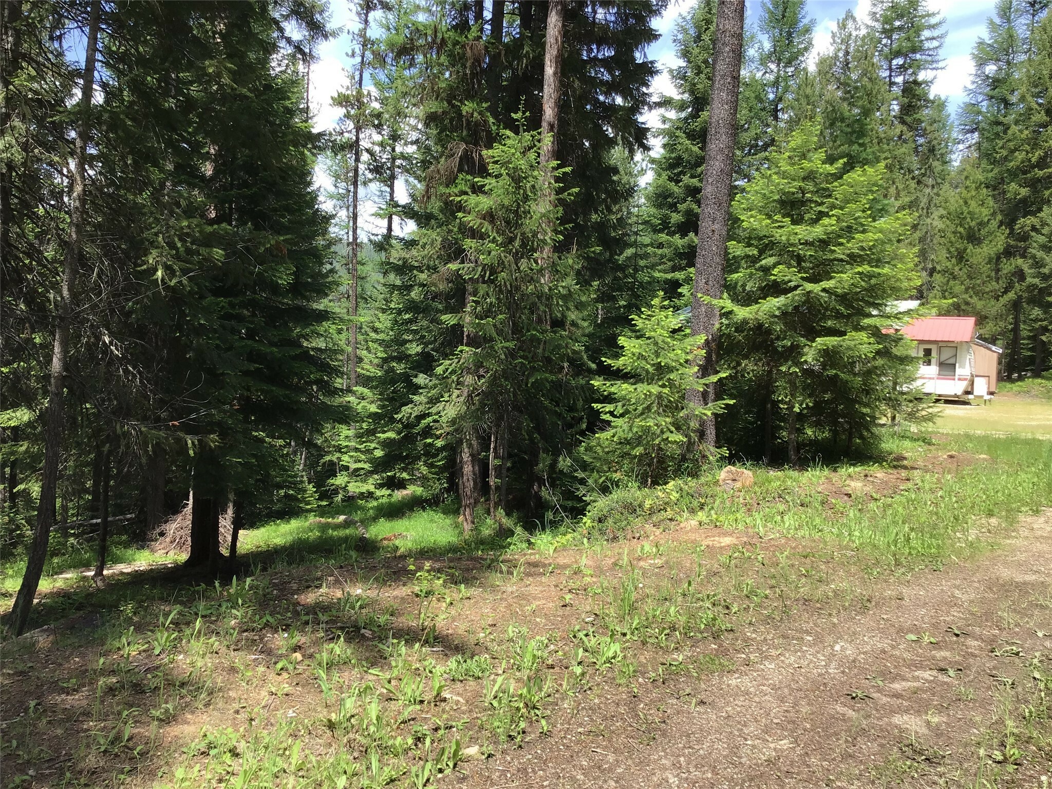 Property Photo:  180 Rimfire Lane  MT 59866 