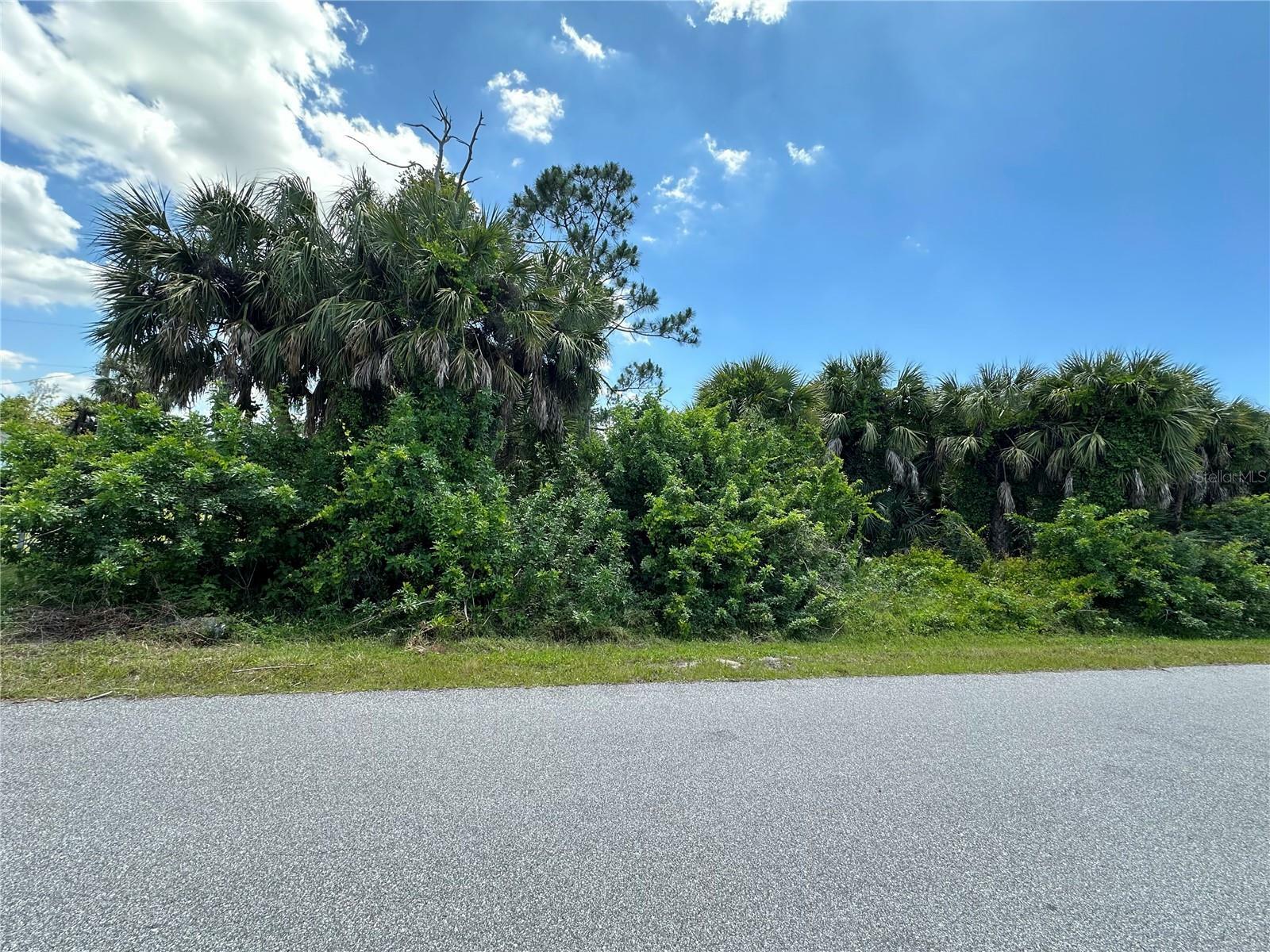 Property Photo:  26249 Brooks Road  FL 33955 