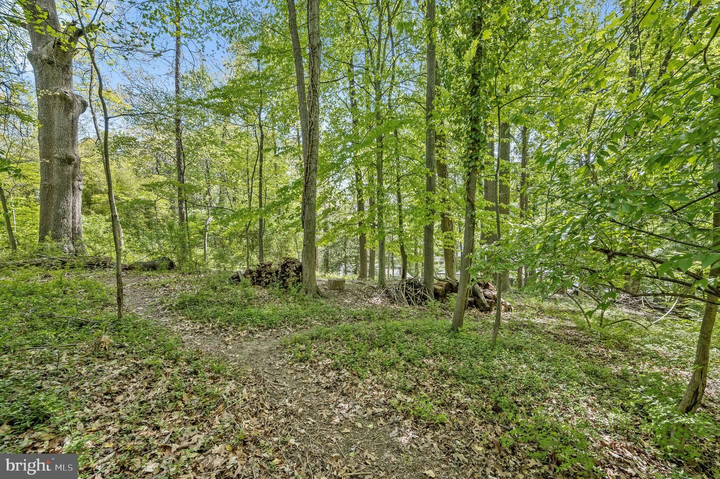 Property Photo:  11117 Rokeby Avenue  MD 20896 