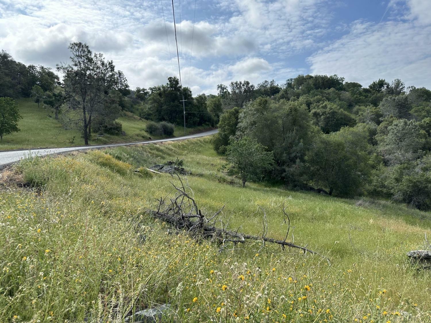 Property Photo:  0 Lot 186 North Dome Drive  CA 93614 