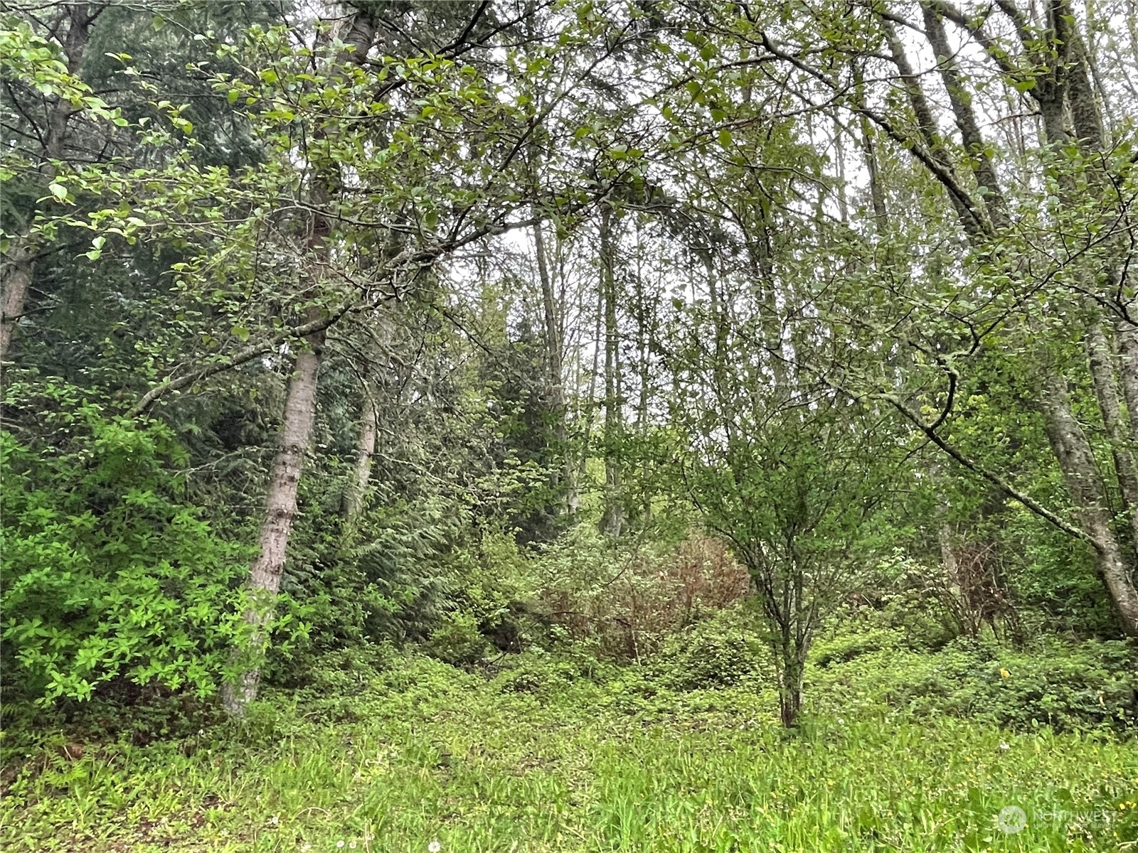 Property Photo: 63 S Camano Ridge Road WA 98282