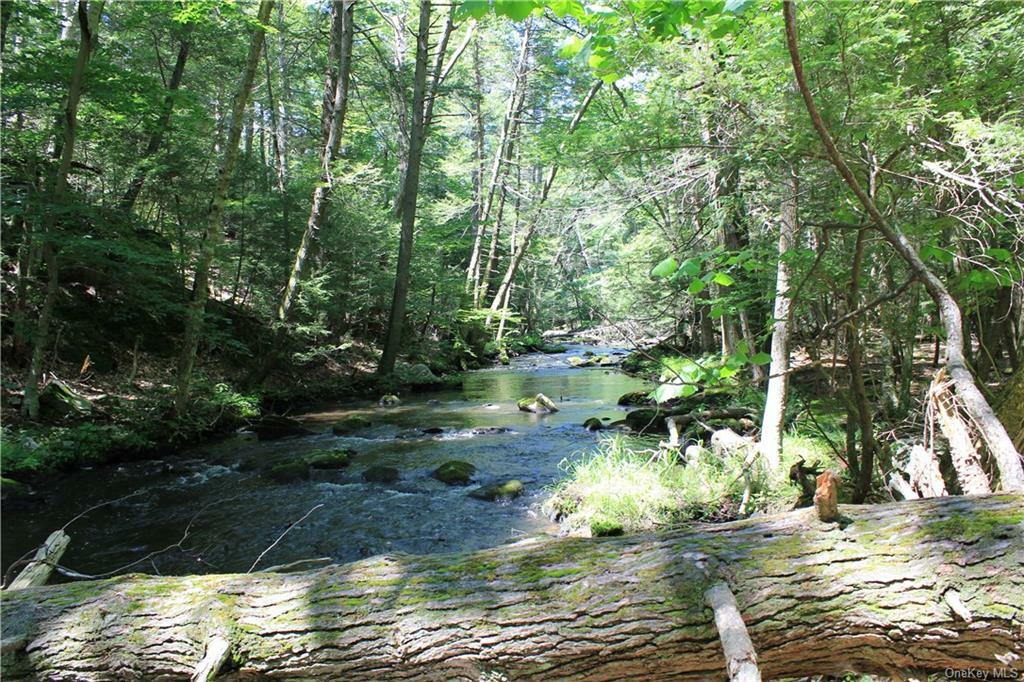 Property Photo:  Rolling Meadow Lane  NY 10576 