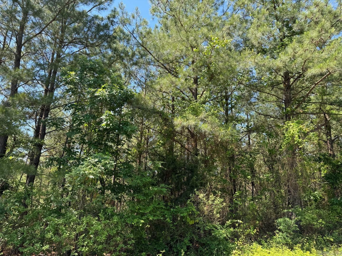 Property Photo:  0 Ross Hollow Road  AR 72135 