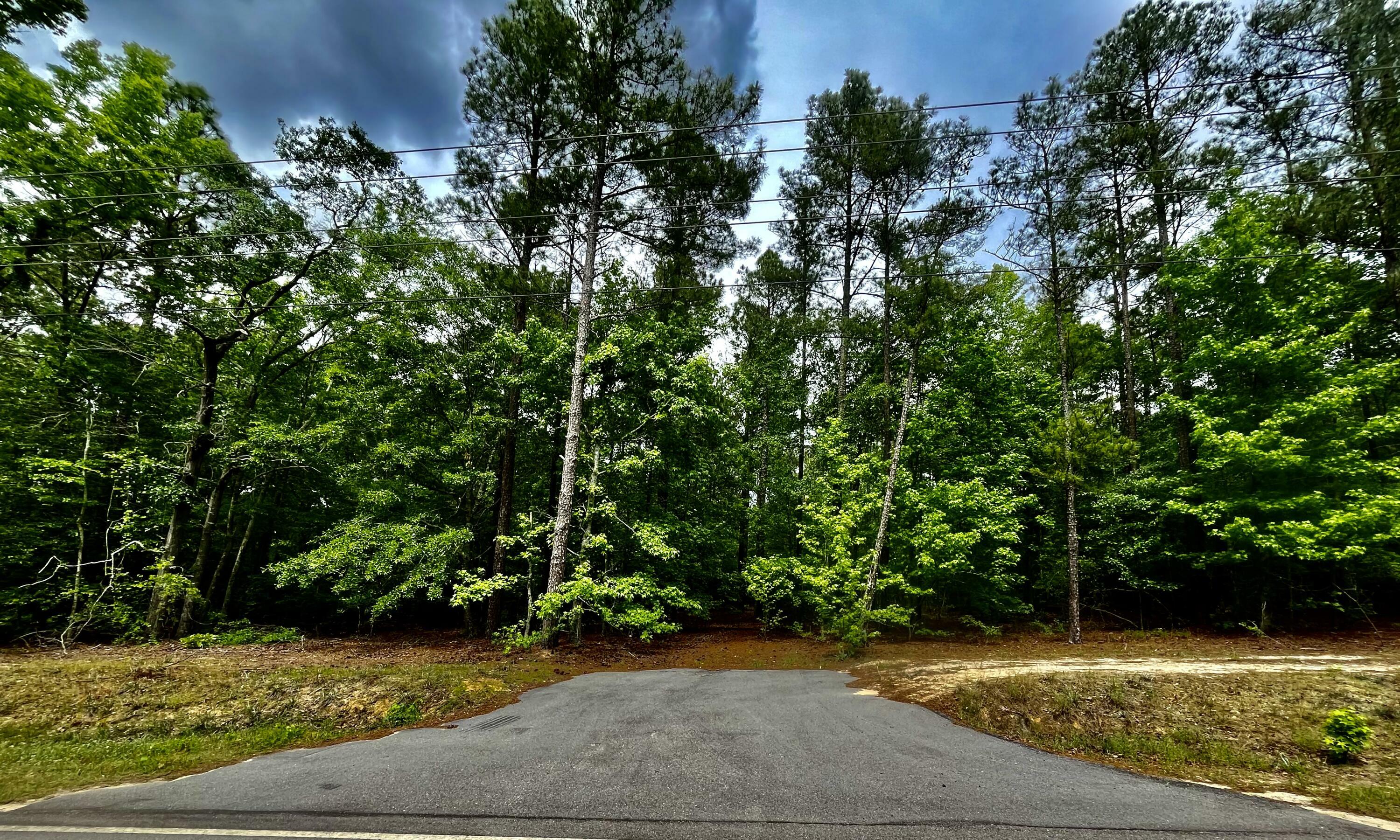 Property Photo:  Tbd Valley Ridge Road  SC 29135 