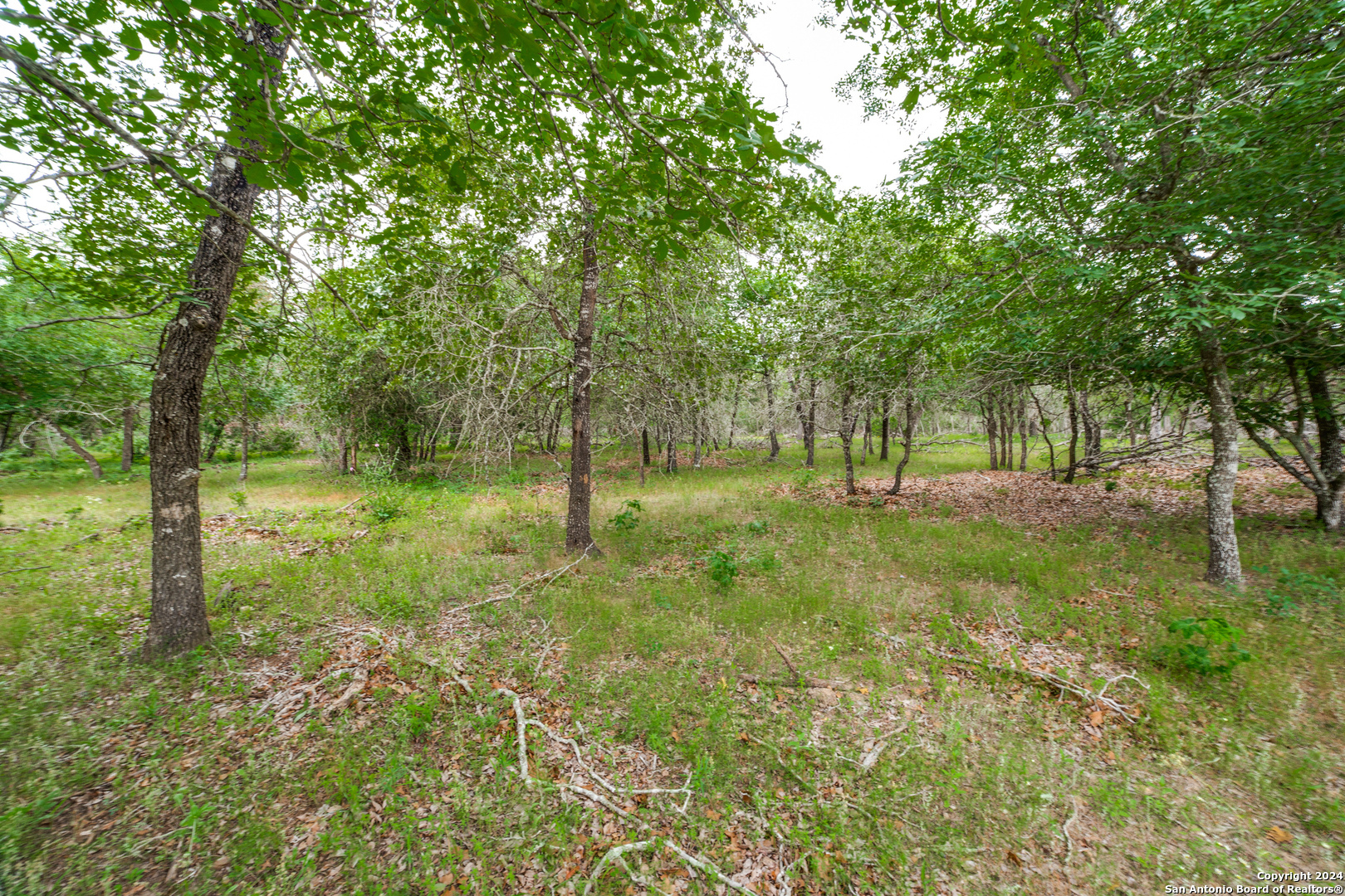 Property Photo: 316 Shorthorn Road TX 78160