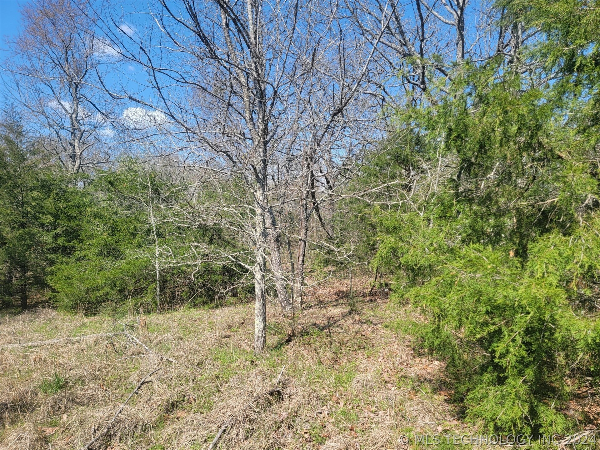 Property Photo:  E County Road 1230  OK 74941 