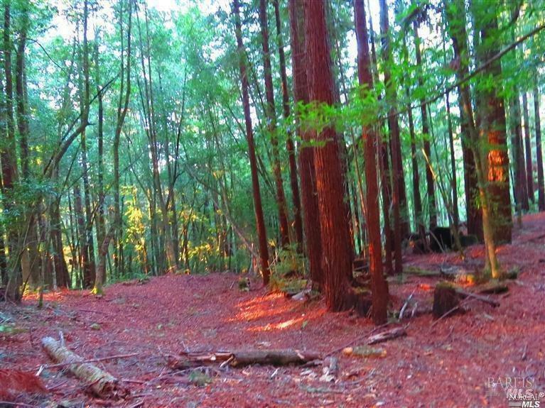 Property Photo: 15210 Bittner Road CA 95465