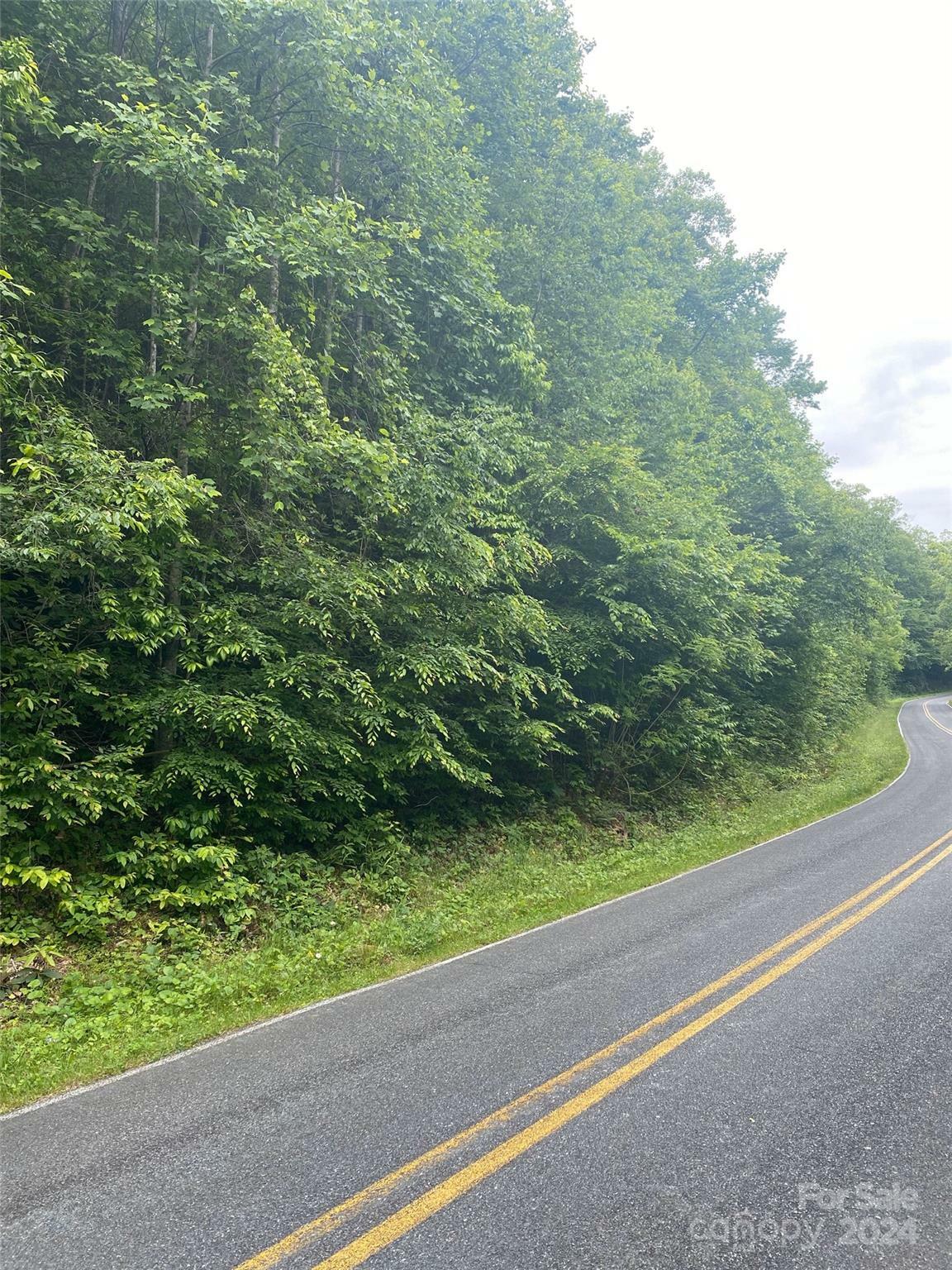 Property Photo:  0 Cedar Creek Road 61  NC 28746 