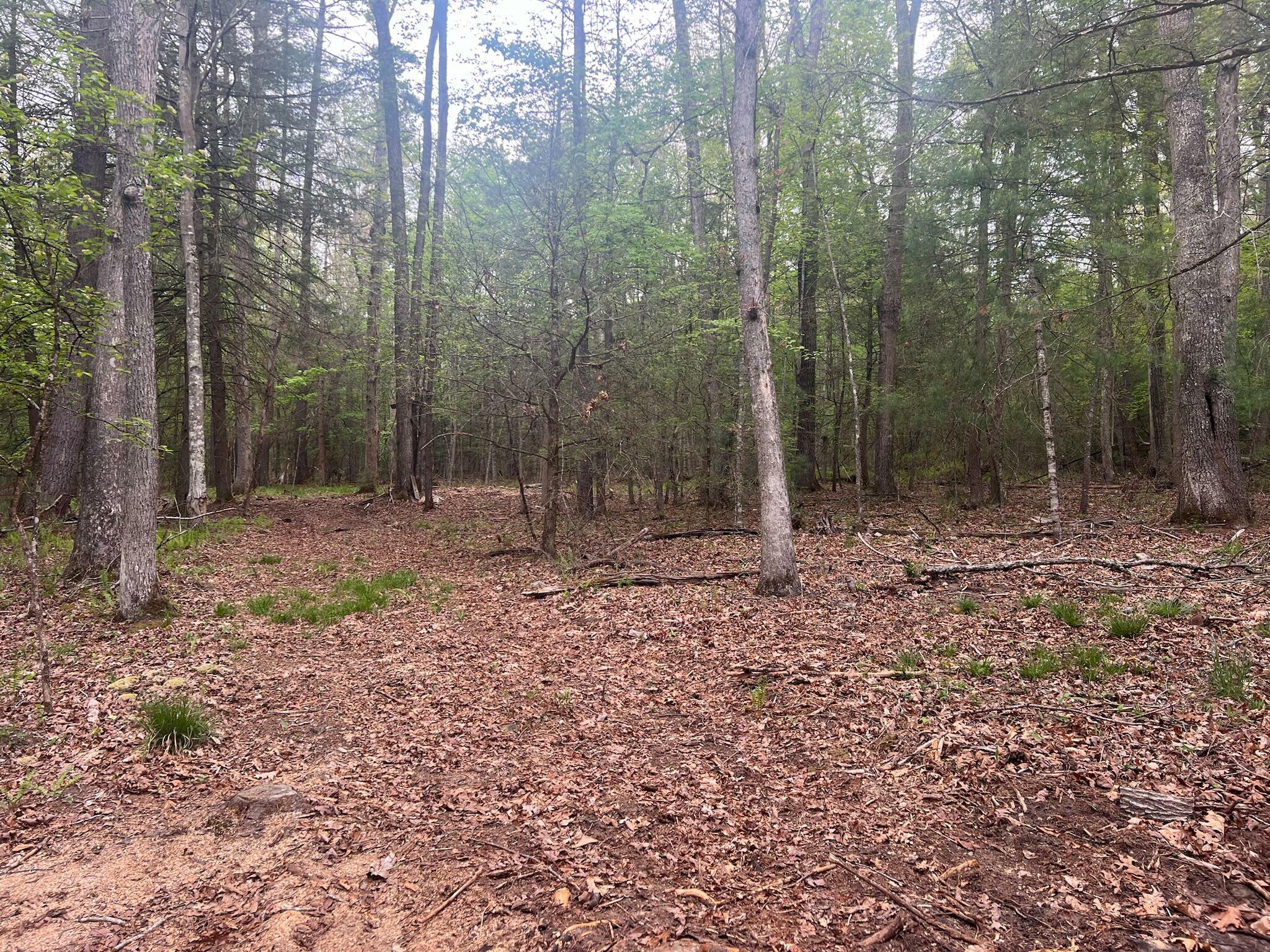 Property Photo:  Lot 3 Asbury Trce  WV 24901 