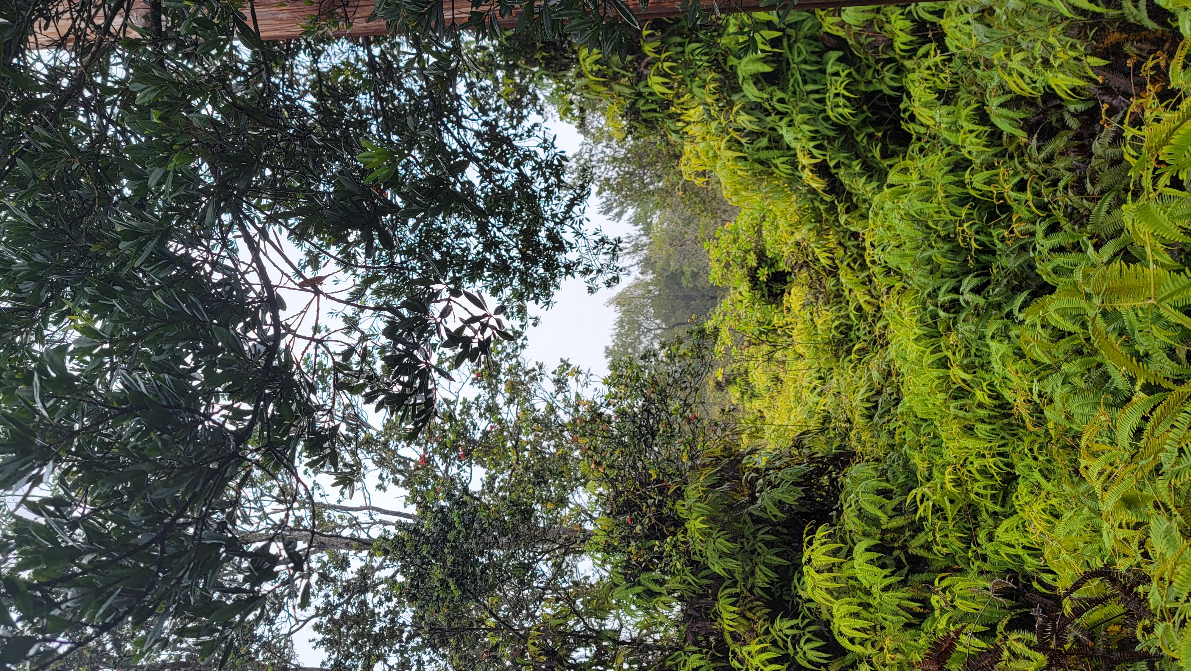 Property Photo:  Mokuna St  HI 96785 