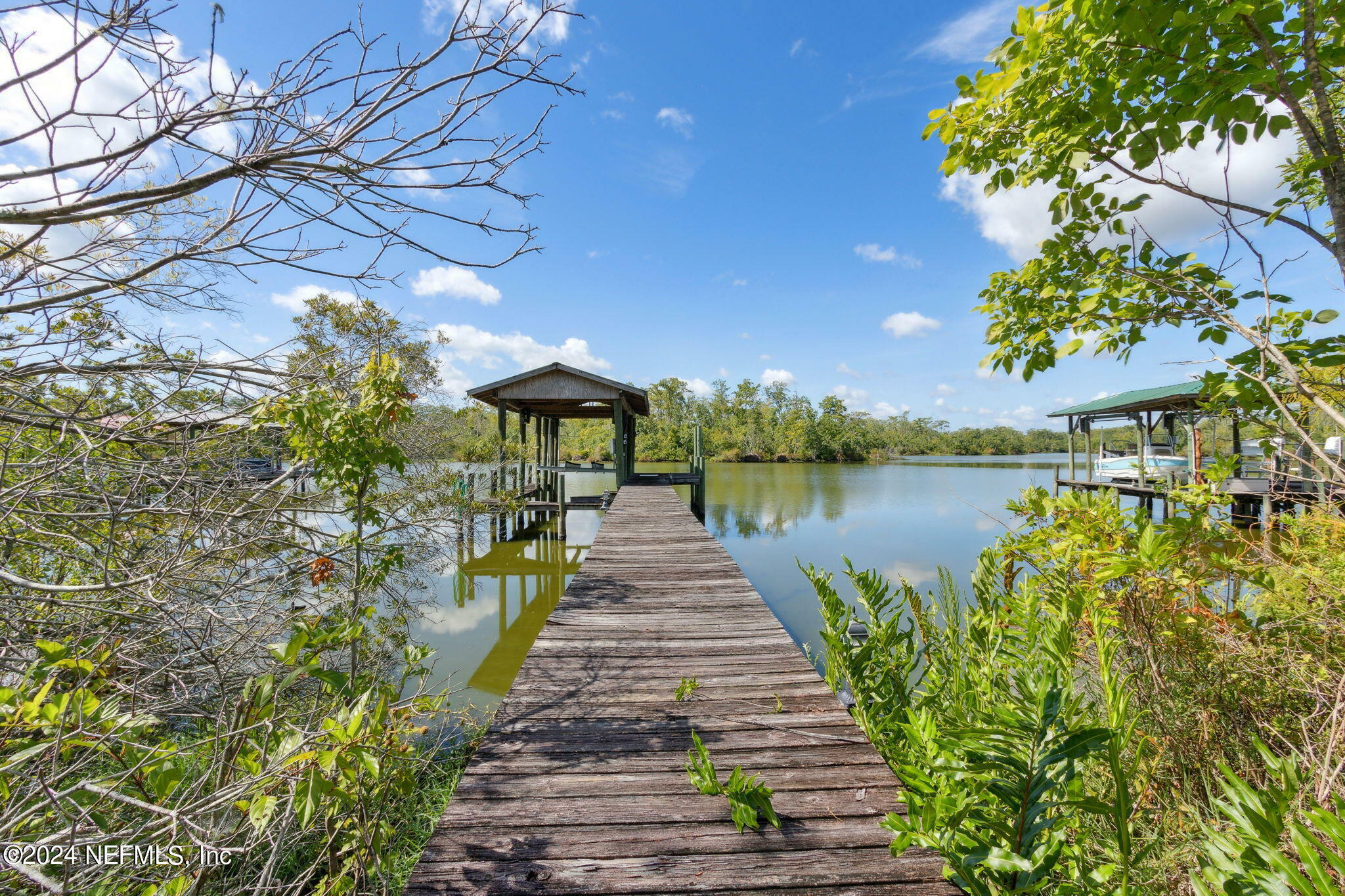 Property Photo:  2137 Blue Heron Cove Drive  FL 32003 