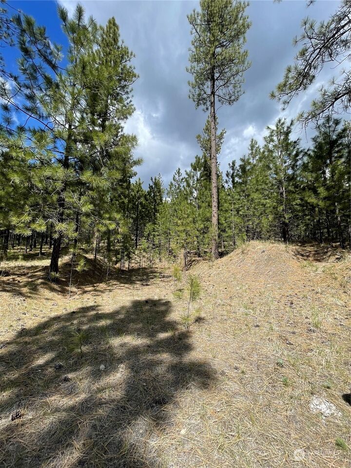 Property Photo:  119 Chief Joseph Trail  WA 98849 