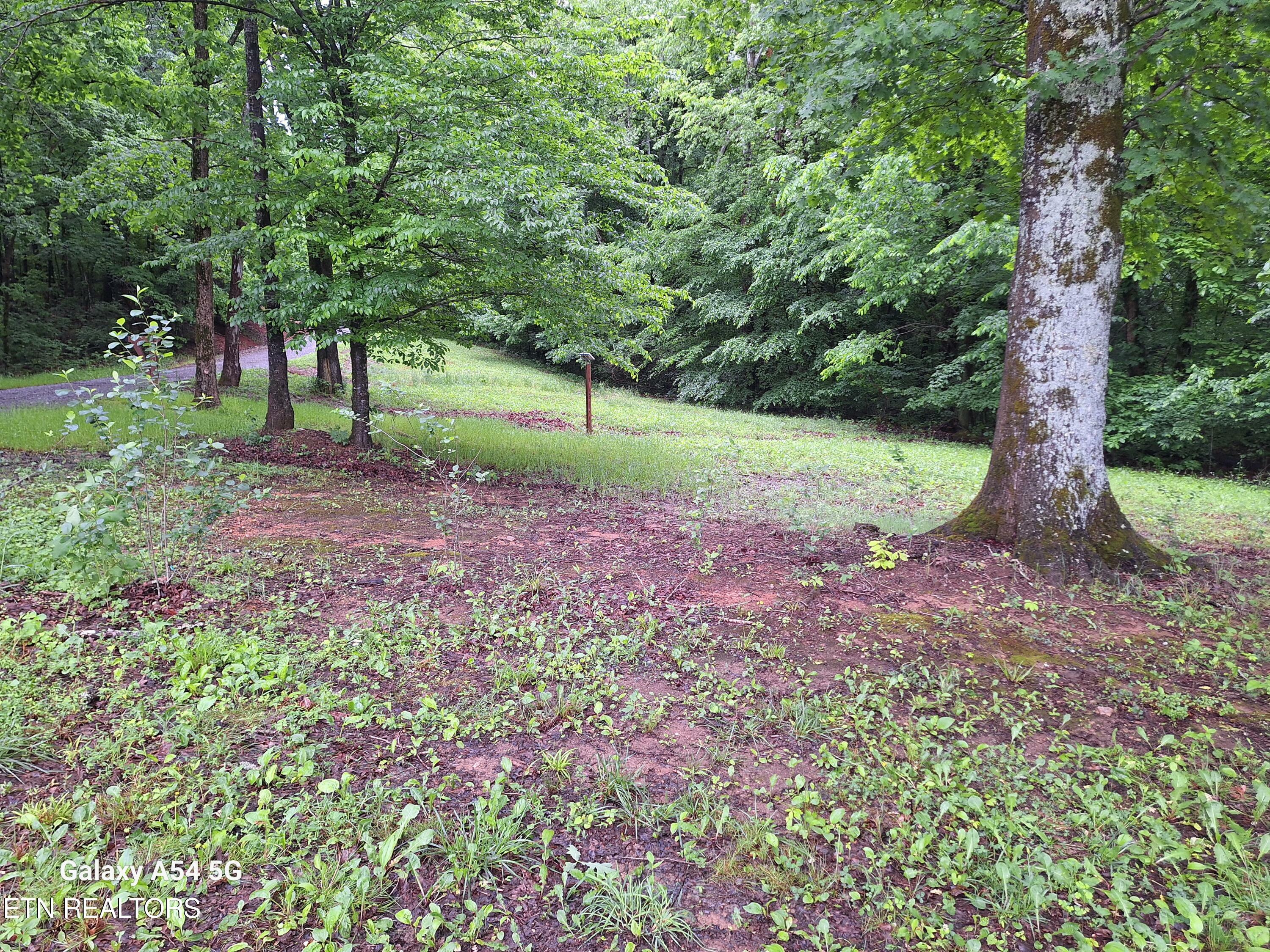 Property Photo:  (Cloyds Creek ) Meadow Rd West  TN 37742 