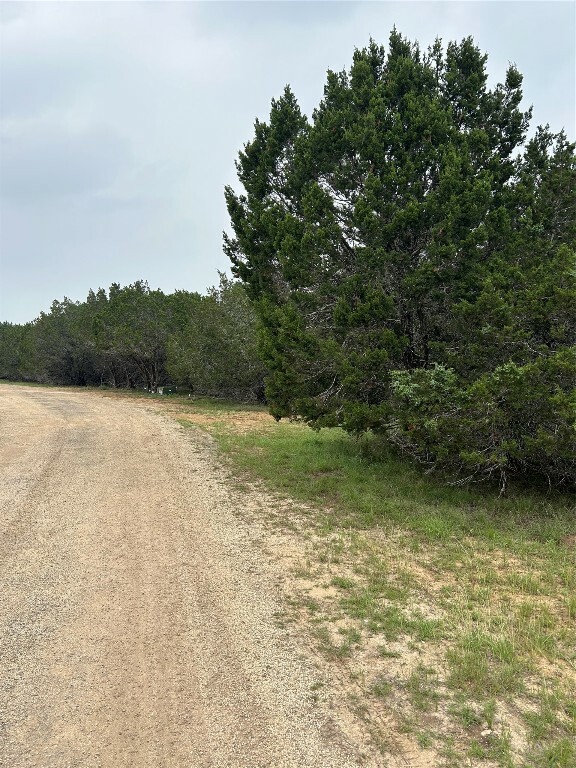 Property Photo:  4 Quiet Meadow Circle  TX 78676 