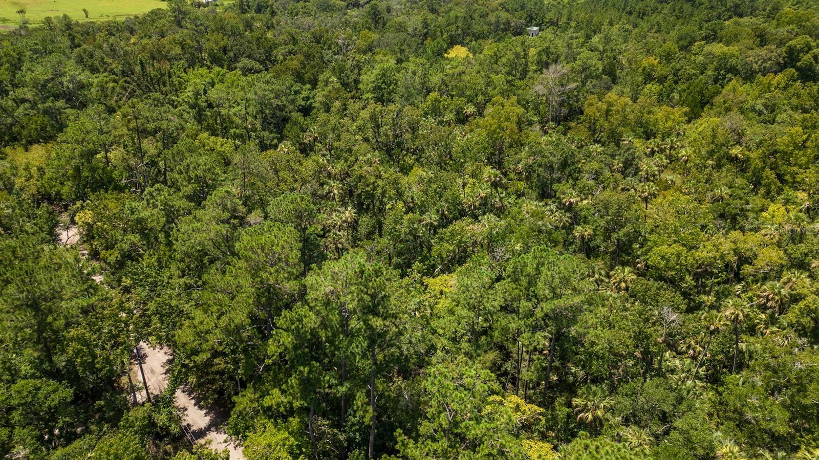 Property Photo:  North Carolina Run  FL 32773 