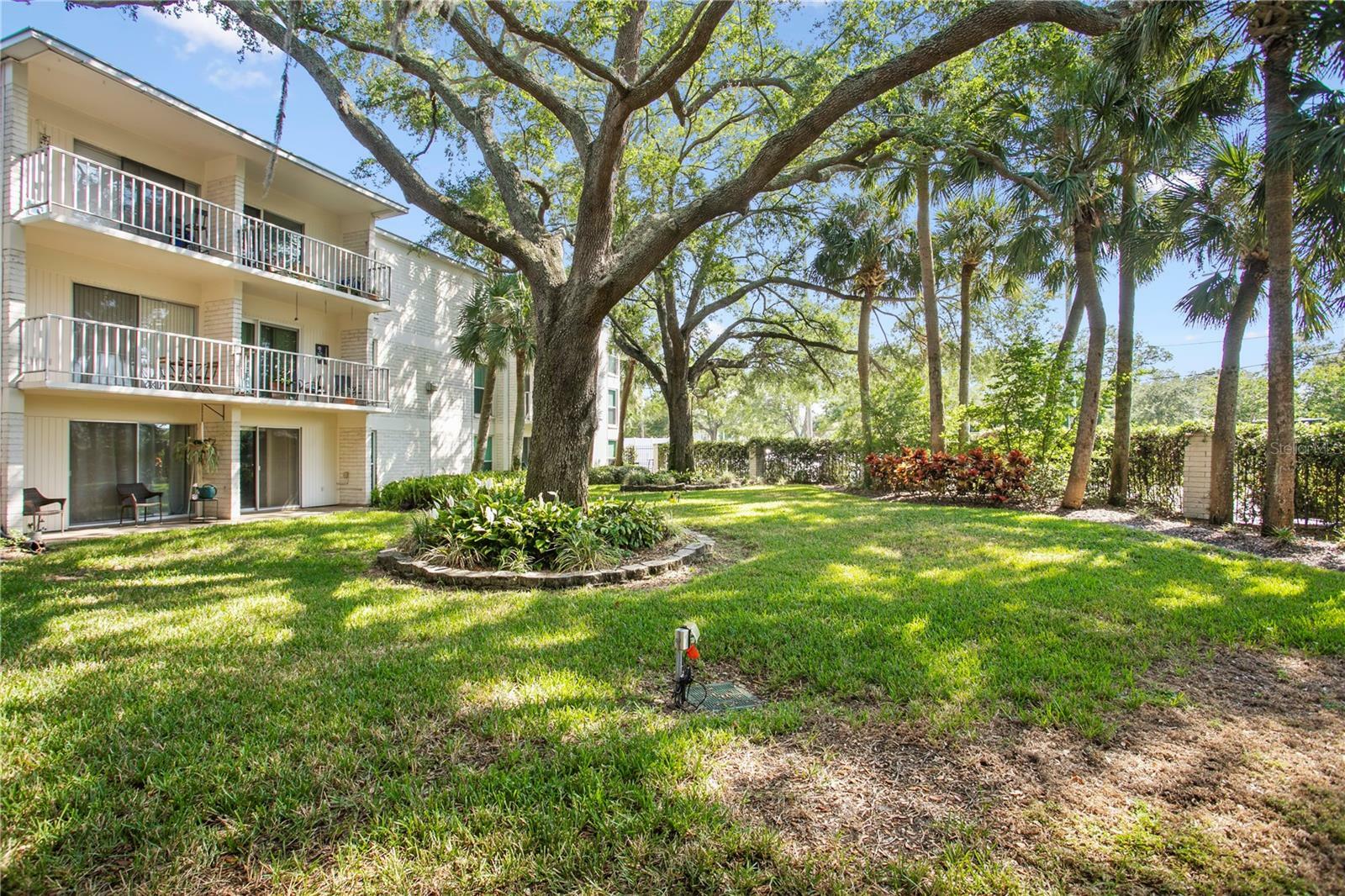 Property Photo:  3325 Bayshore Boulevard E14  FL 33629 