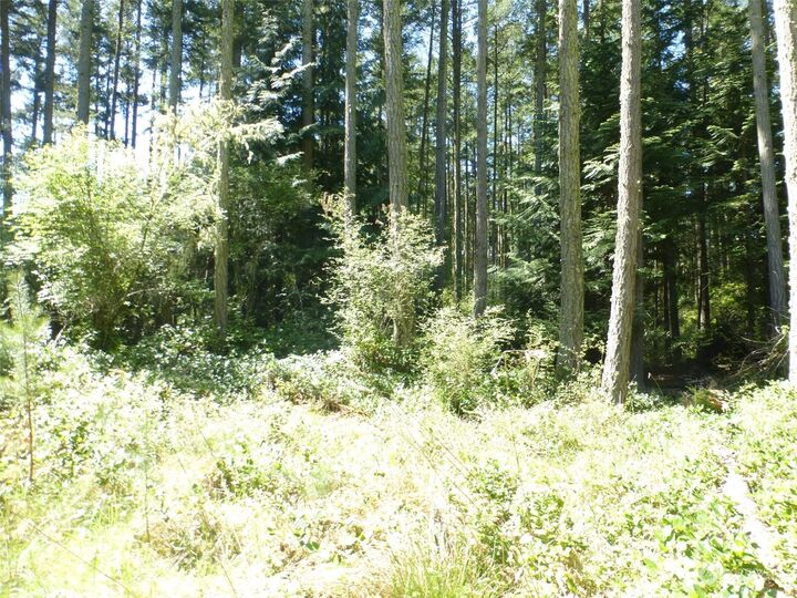 Property Photo:  681 Pavey Boulevard  WA 98261 