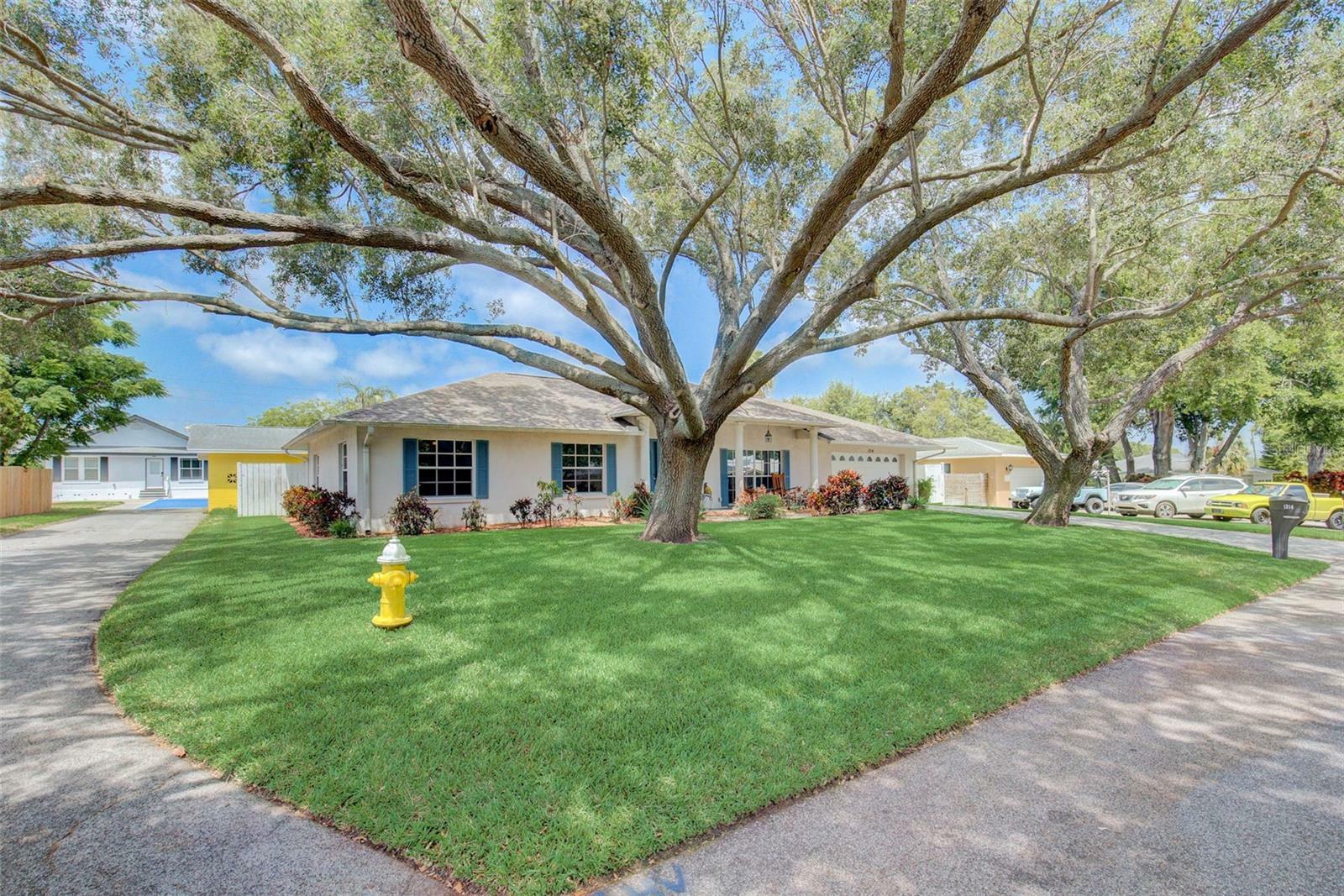 Property Photo:  1314 Whitacre Drive  FL 33764 