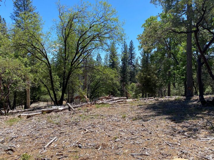 0 Meadowlark Way  Placerville CA 95667 photo