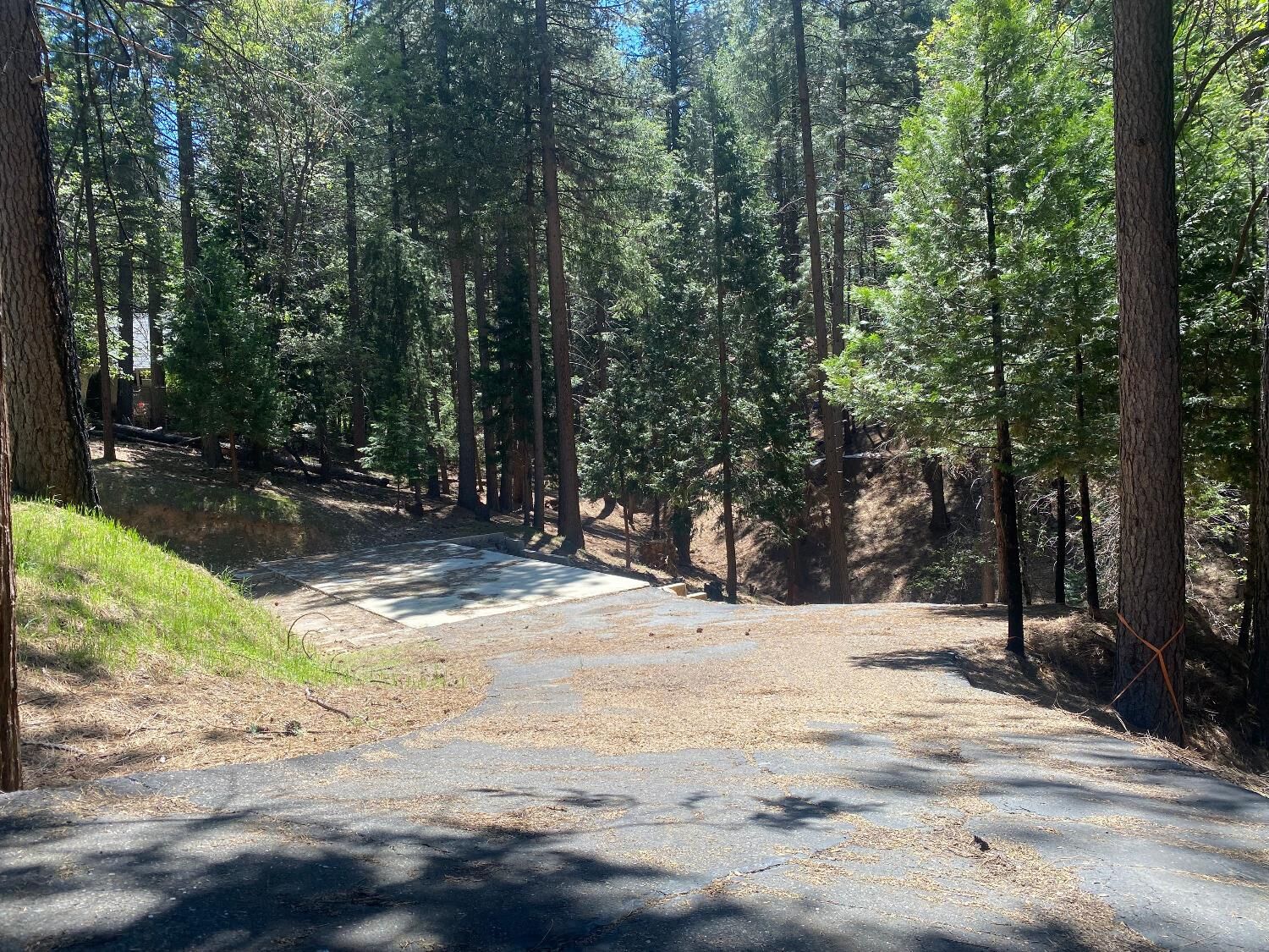 Property Photo: 5693 Lupin Lane CA 95726