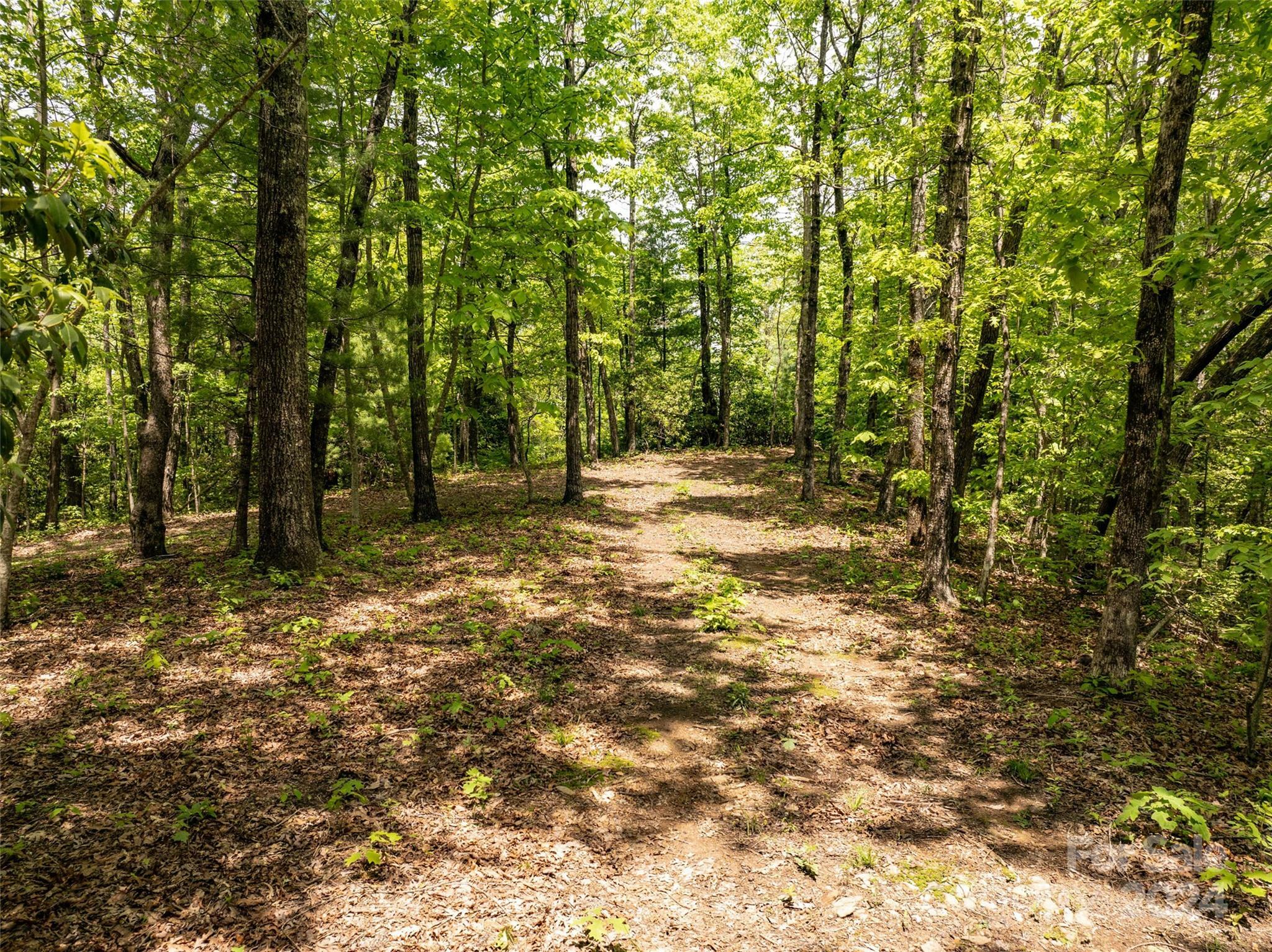 Property Photo:  290 Shoal Creek Road 26R  NC 28739 