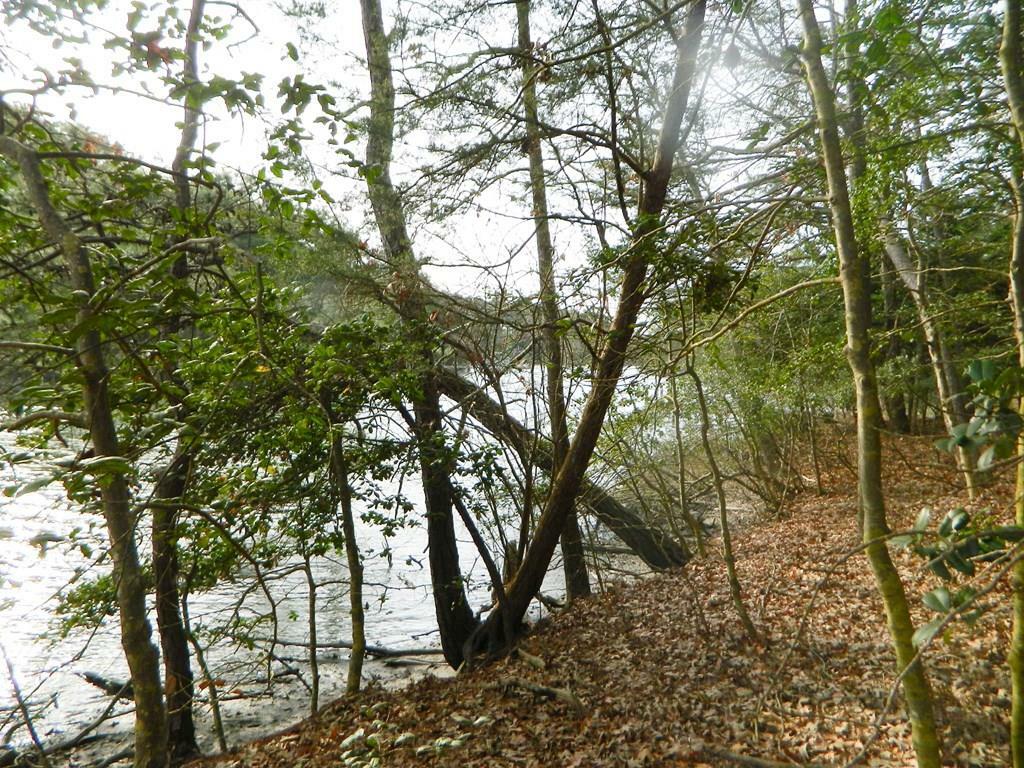 Property Photo:  Lot 182 Heron Dr  VA 23405 