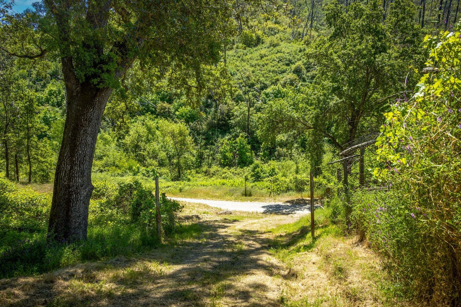 Property Photo:  5916 5916 Hawver Road  CA 95249 