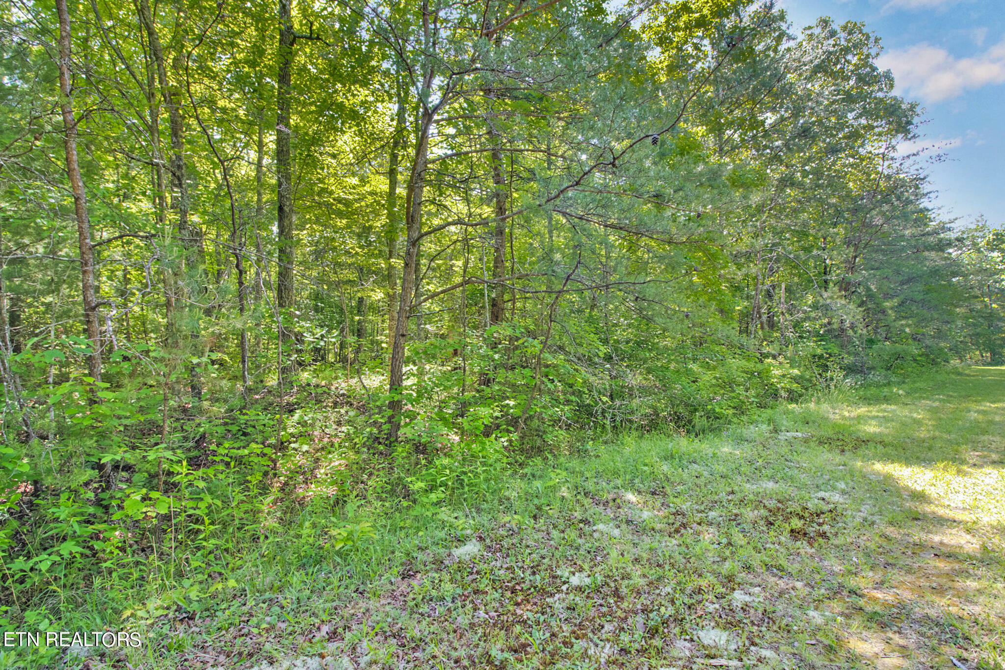 Property Photo:  15 Nottaway Terrace  TN 38558 