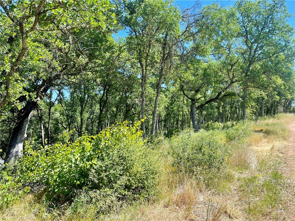 Property Photo:  15336 Brannan Street  CA 95422 