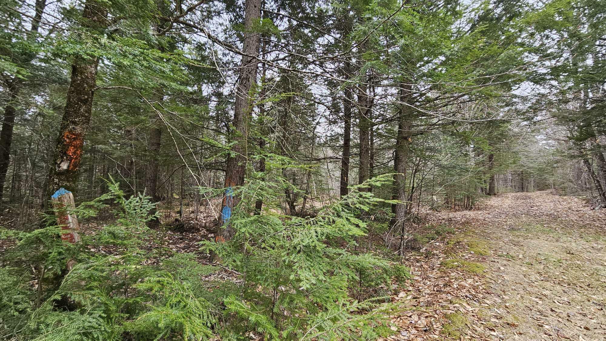 Property Photo: M6l22 Isthmus Road ME 04422