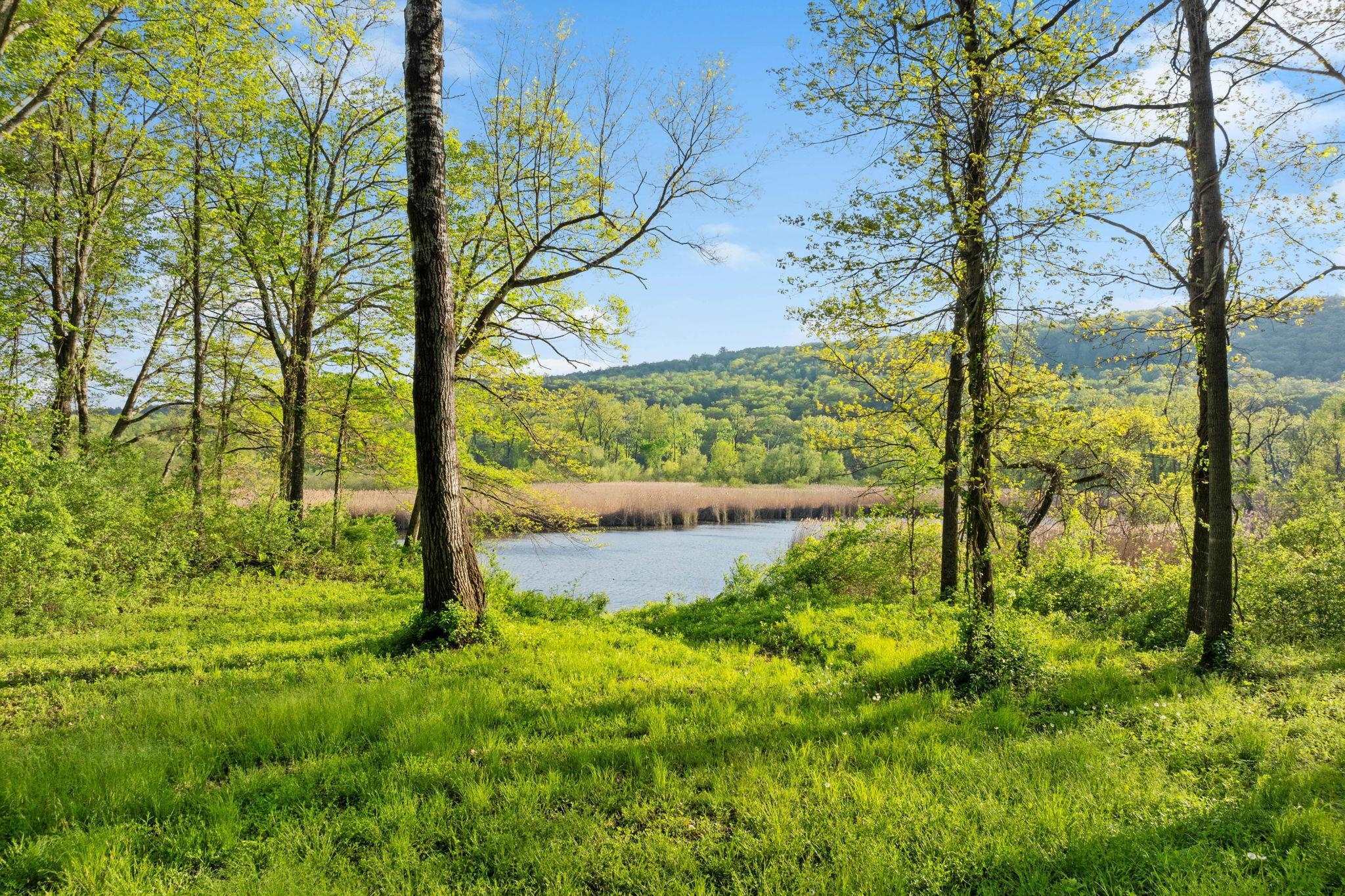 Property Photo:  689 Brattleboro Road  NH 03451 