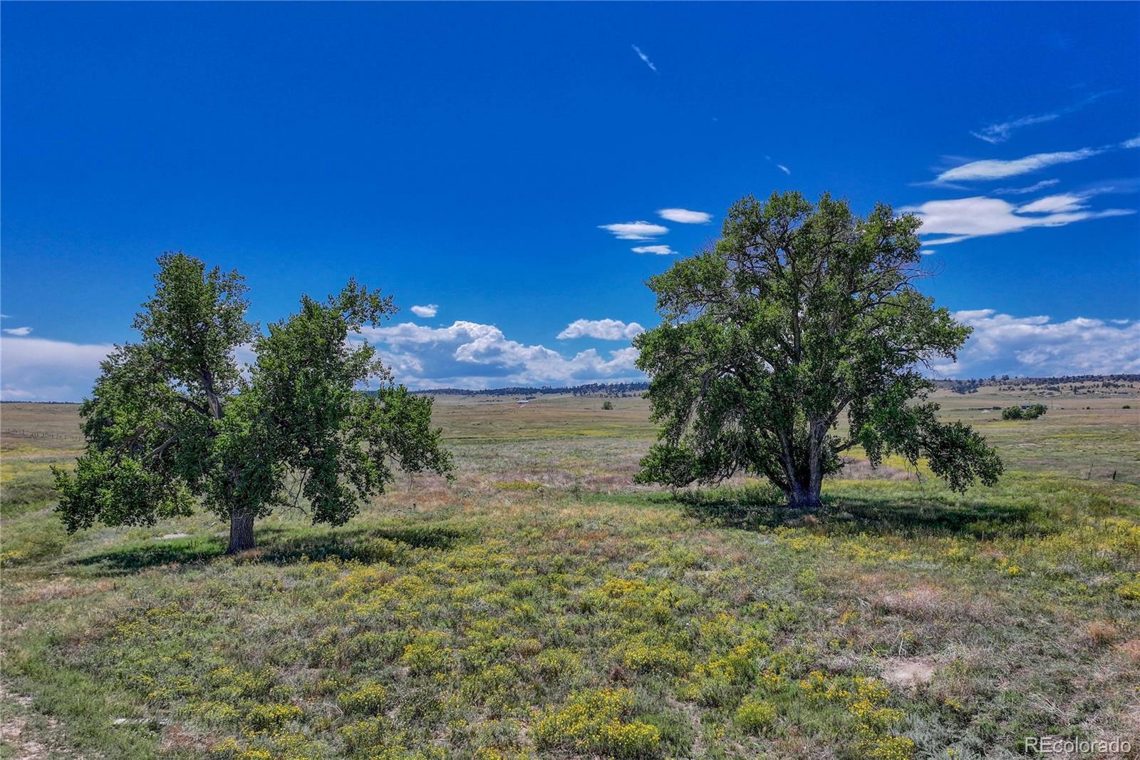 Property Photo:  Fiddleback Ranch Road  CO 80117 