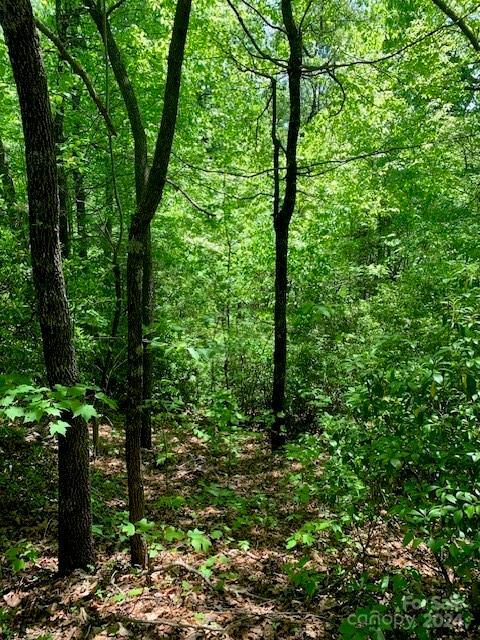 Property Photo:  Lot 742 Rhododendron Drive 742  NC 28762 