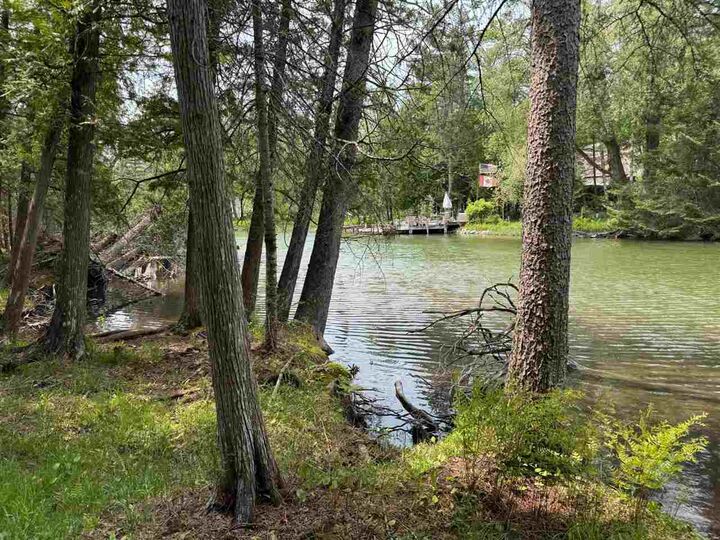 Property Photo:  Tbd Banwell  MI 49706 