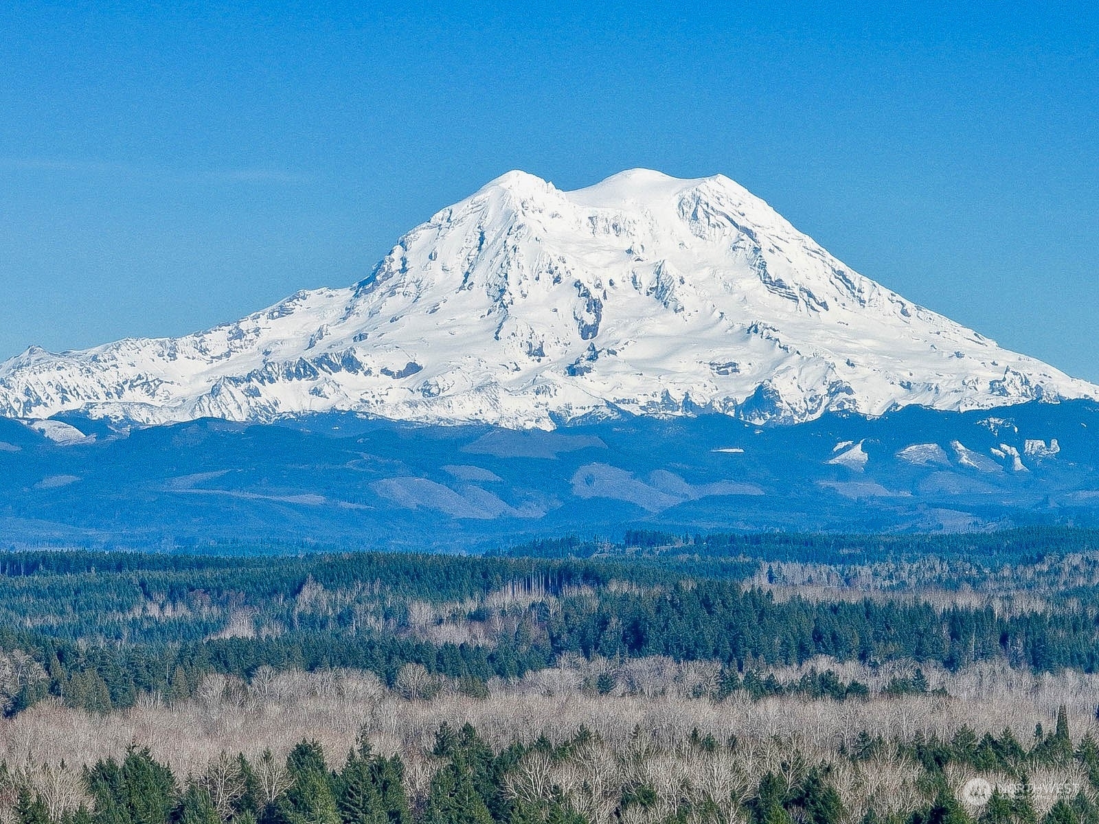 Property Photo:  15606 Bald Hill Road SE  WA 98597 