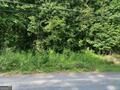 Property Photo:  578 Bristle Cone Drive  GA 31220 