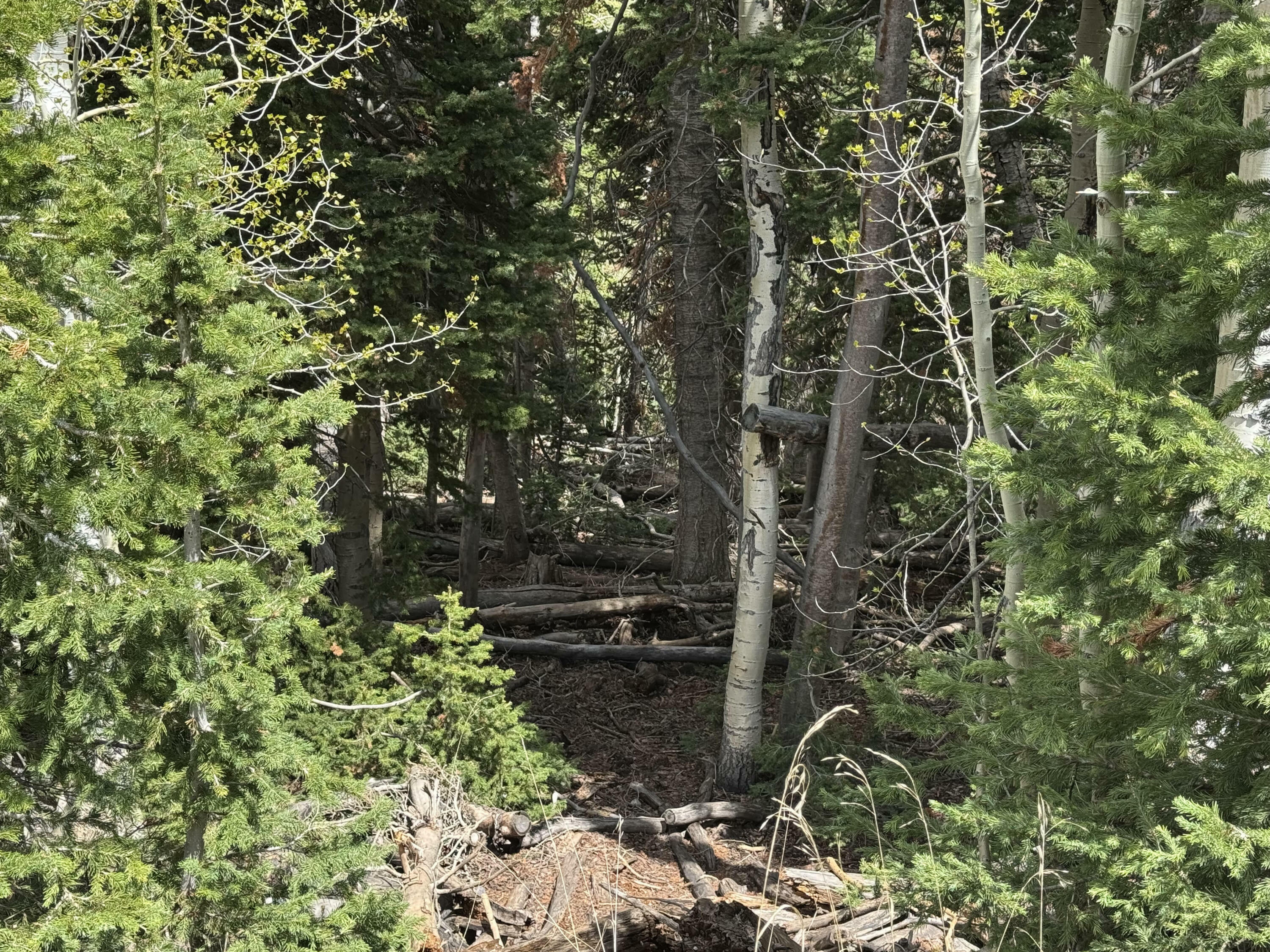 Property Photo: 695 W Hunter Ridge UT 84719