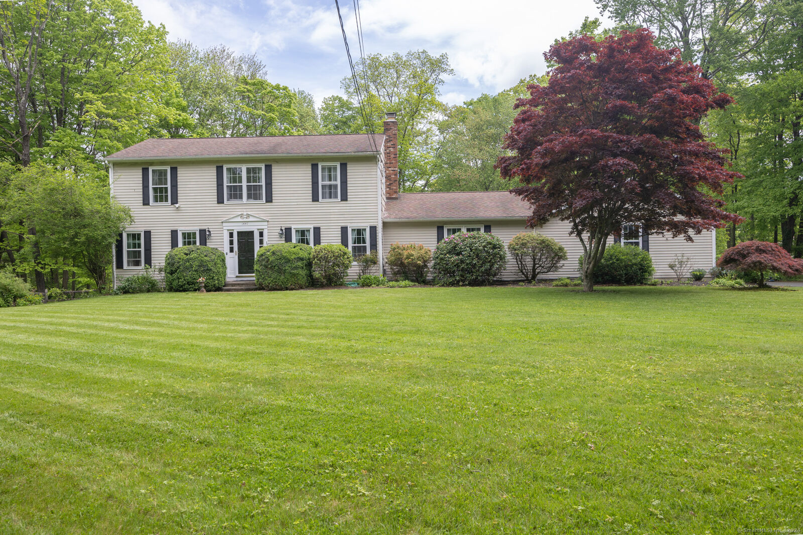 Property Photo:  1447 Bucks Hill Road  CT 06488 