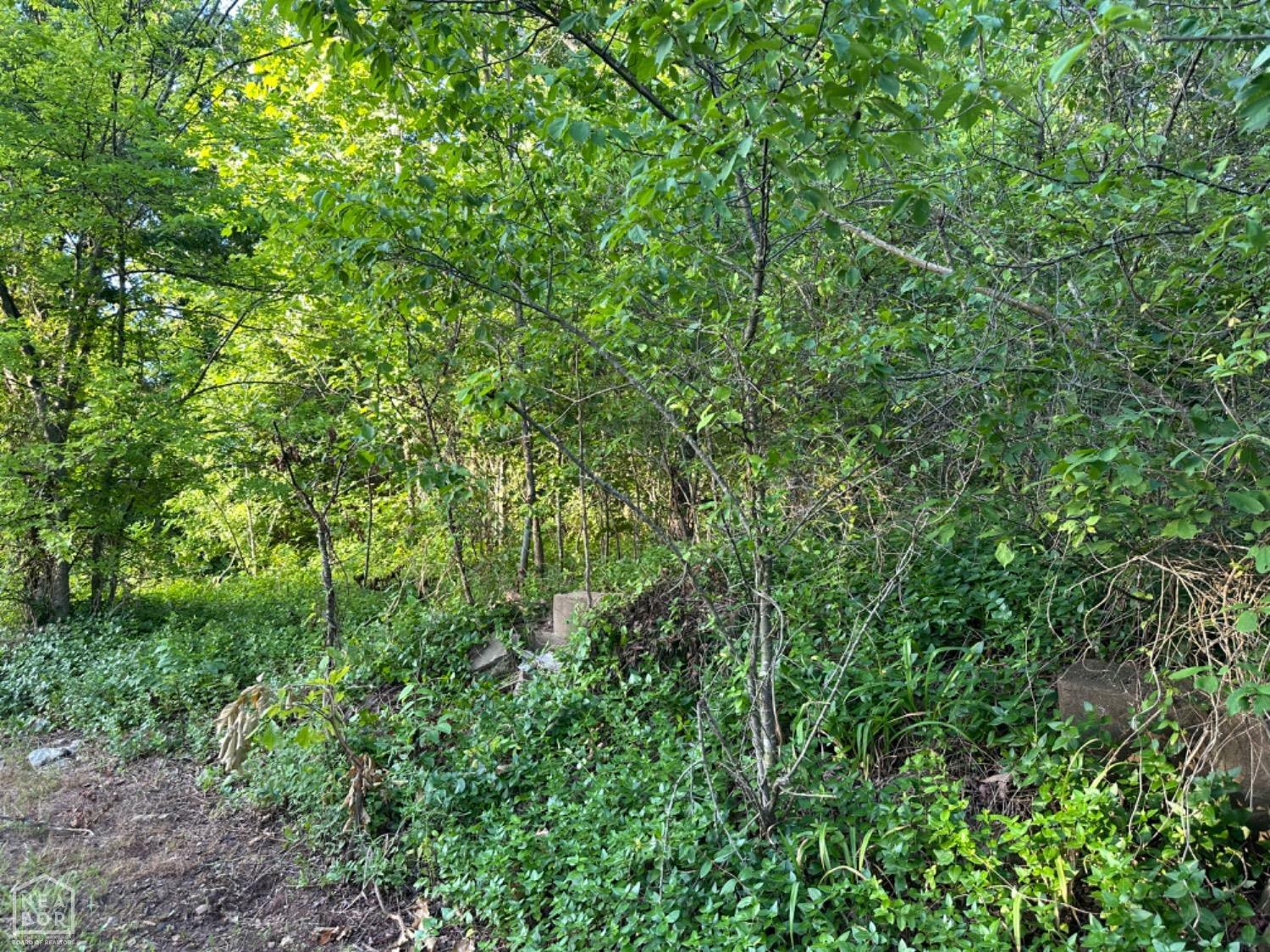 Property Photo:  2402 Highway 62 W  AR 72455 