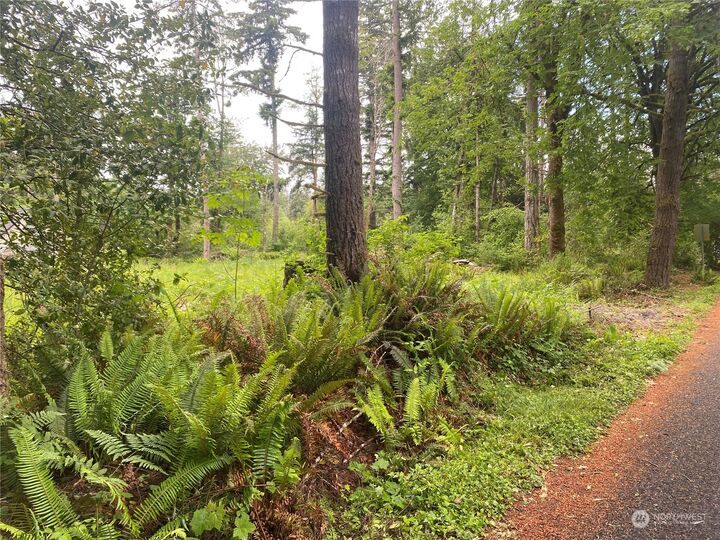 Property Photo: 0 44th Avenue NW WA 98502