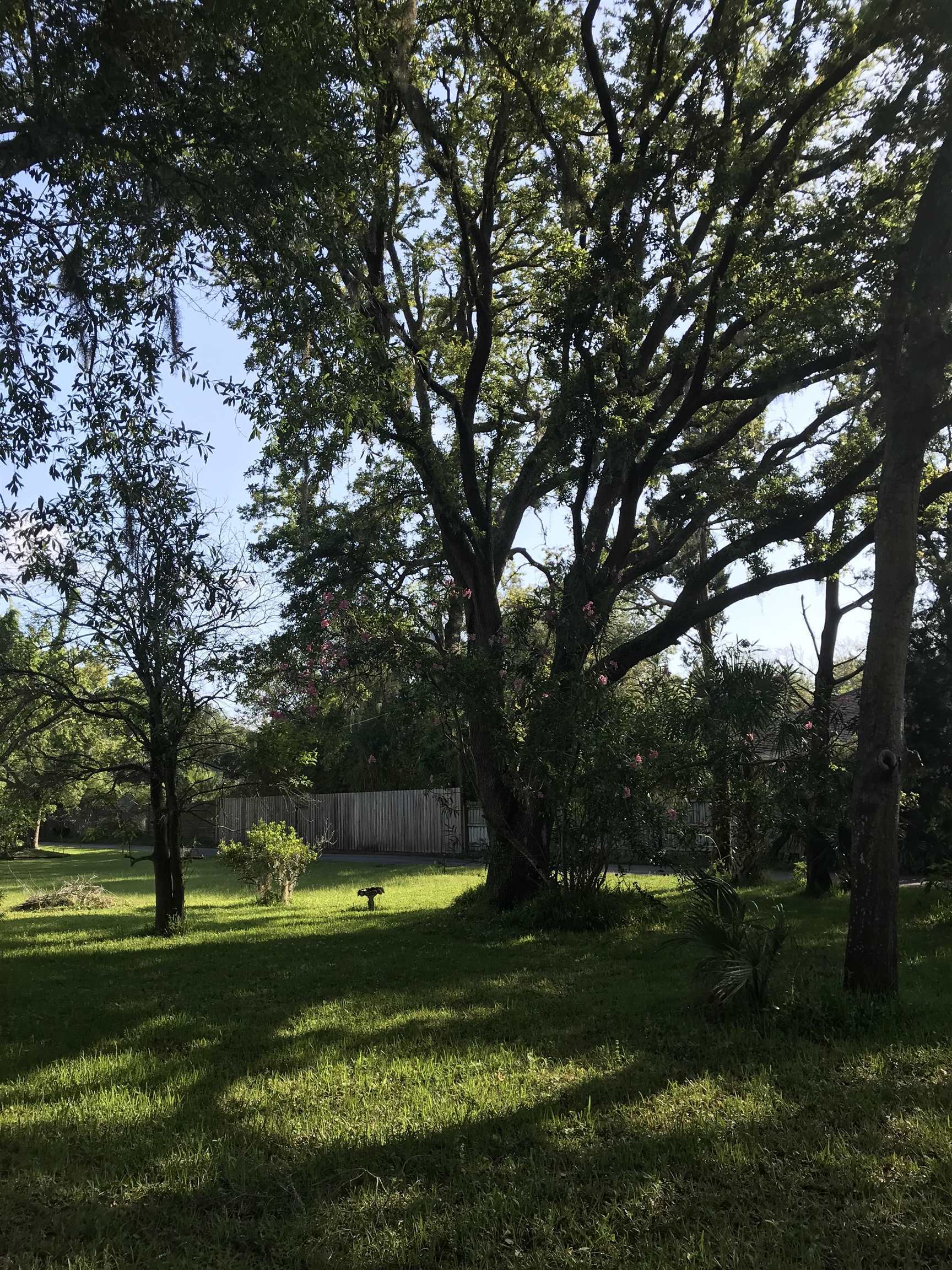 Property Photo:  Madrid St Lot 2  FL 32080 