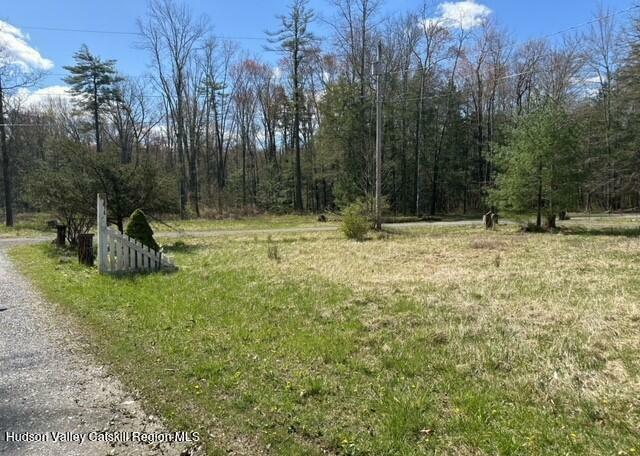 Property Photo:  725 Ny-32  NY 12486 