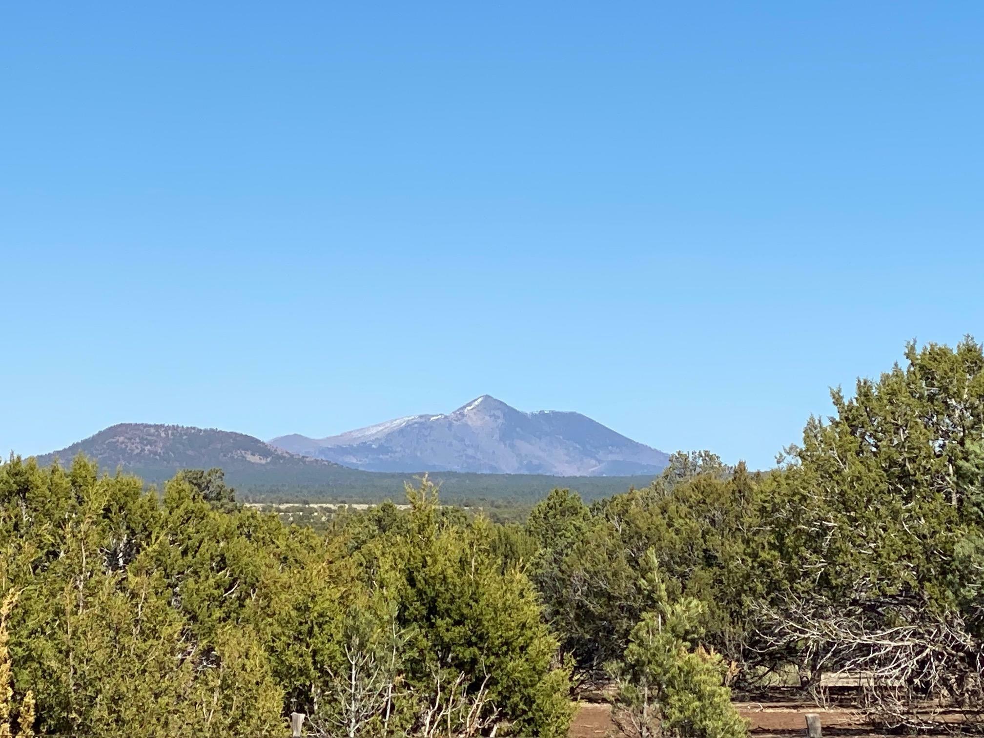 Property Photo:  7065 Tulip Trail 9  AZ 86046 