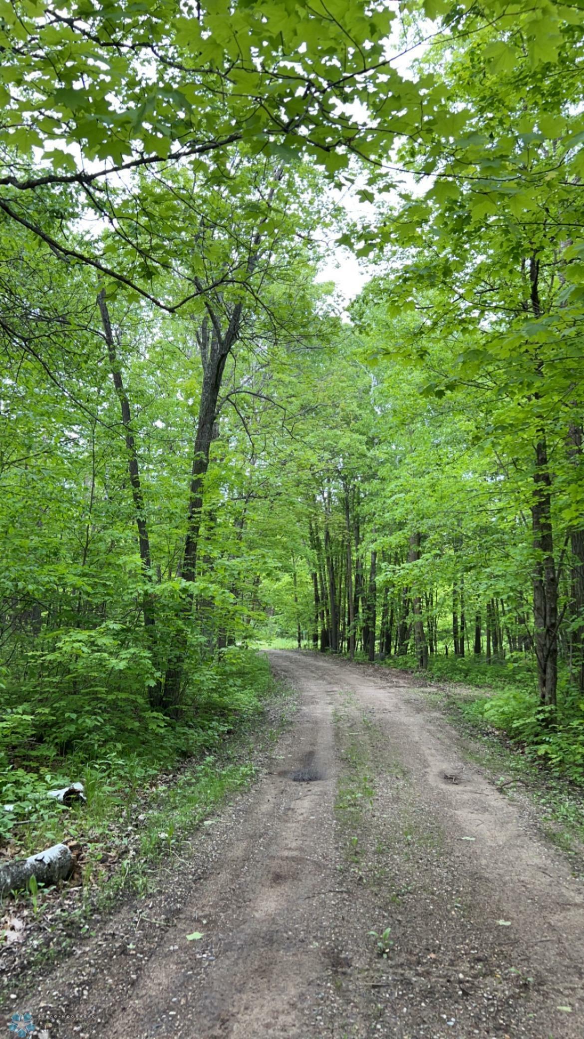 Property Photo: 43717 County Highway 26 MN 56501