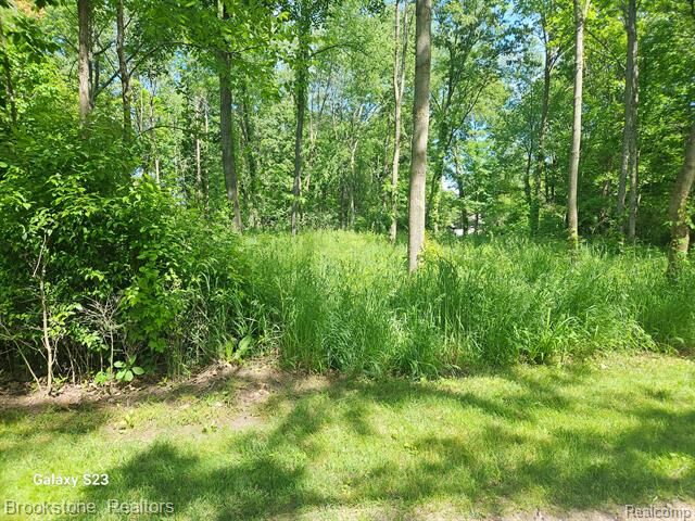 Property Photo: 00 Hunts Fork Road MI 48451