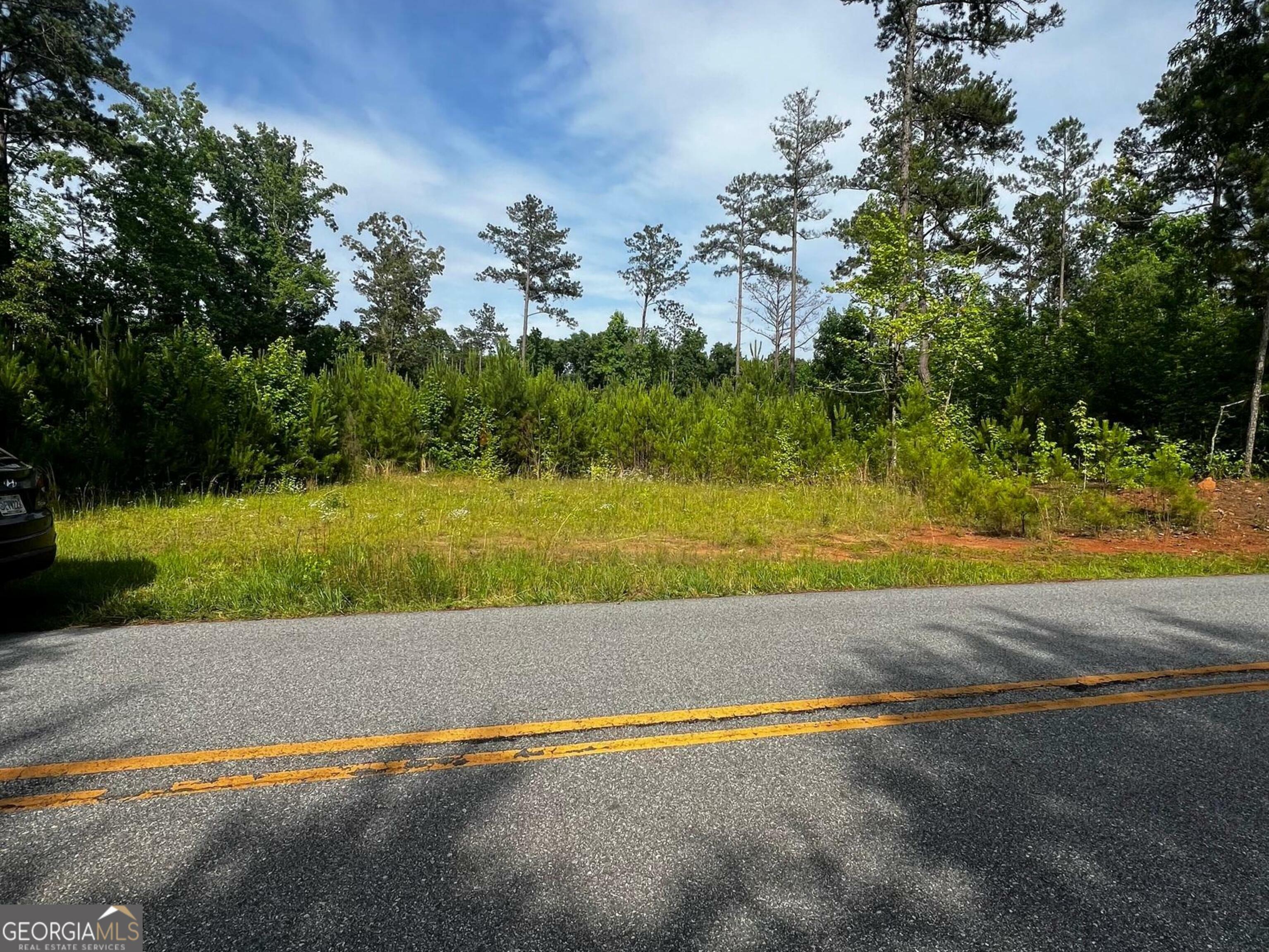 Property Photo:  0 Rising Star Church Road  GA 30233 