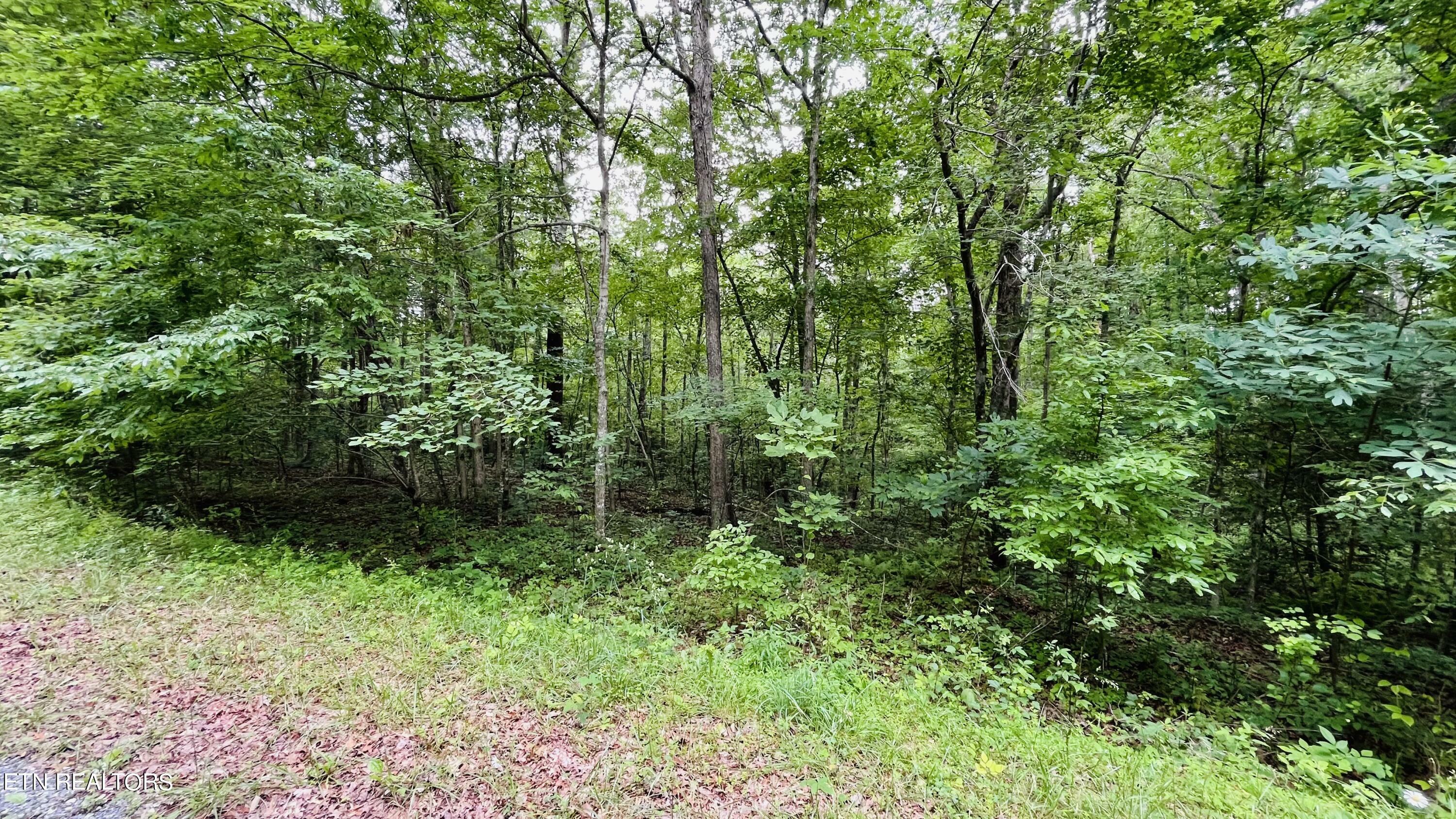 Property Photo:  2118 Black Wolf Drive  TN 38572 