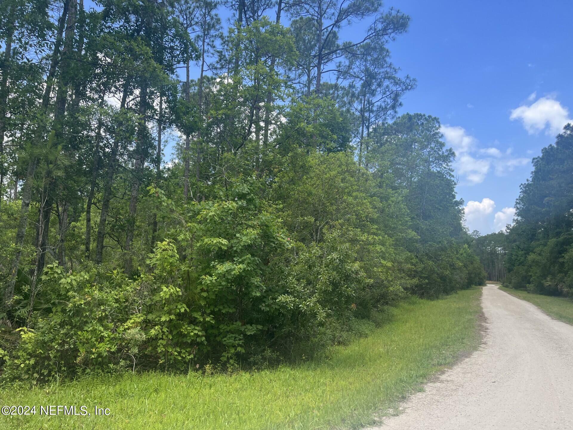 Property Photo:  119 Palmetto Point Lane  FL 32187 