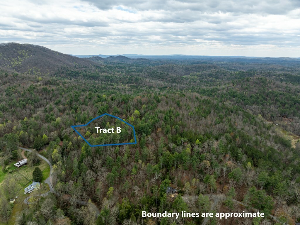 Property Photo:  Tract B Harpers Creek Road  GA 30540 